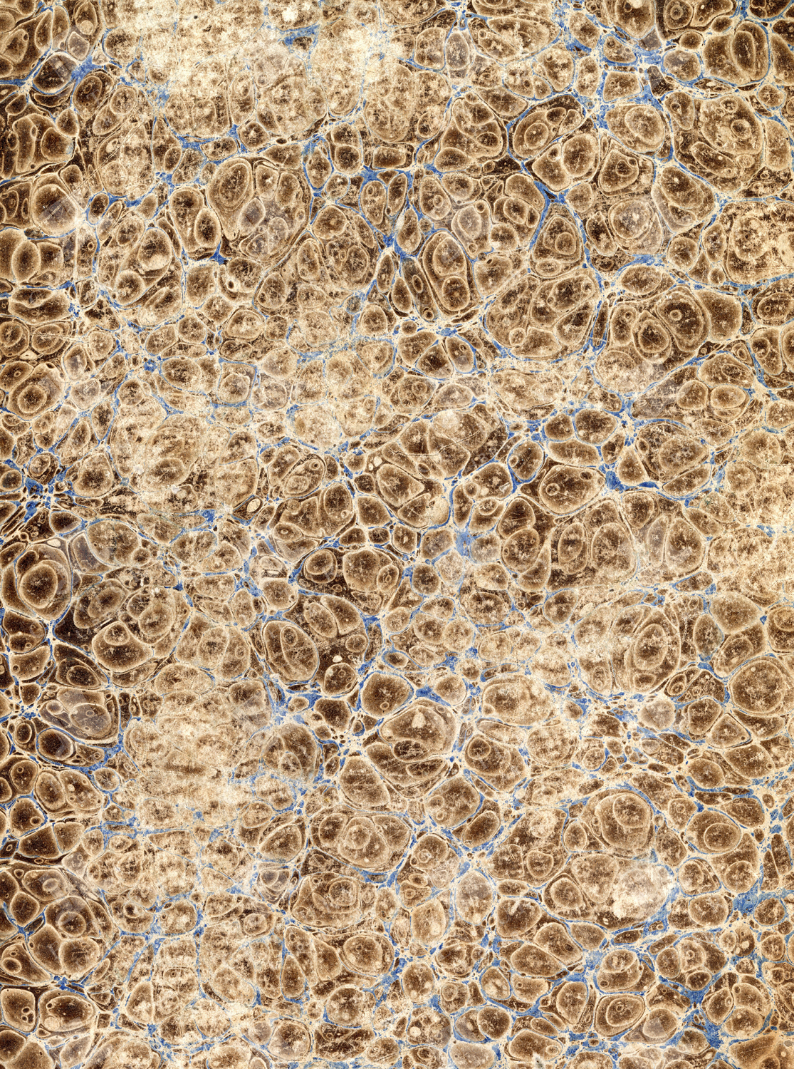 Vintage Marbled Paper Patterned Texture