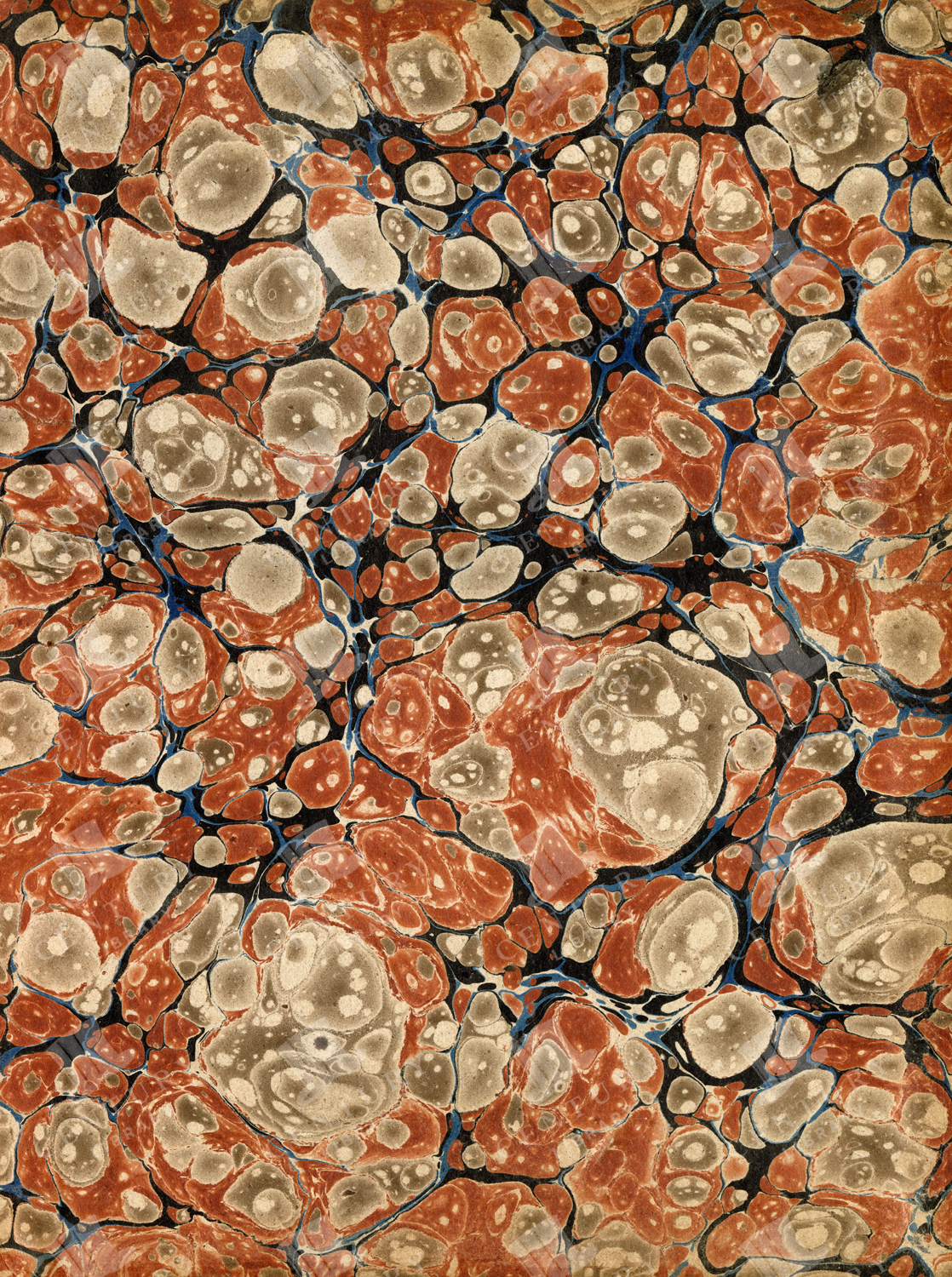 Vintage Marbled Paper Patterned Texture