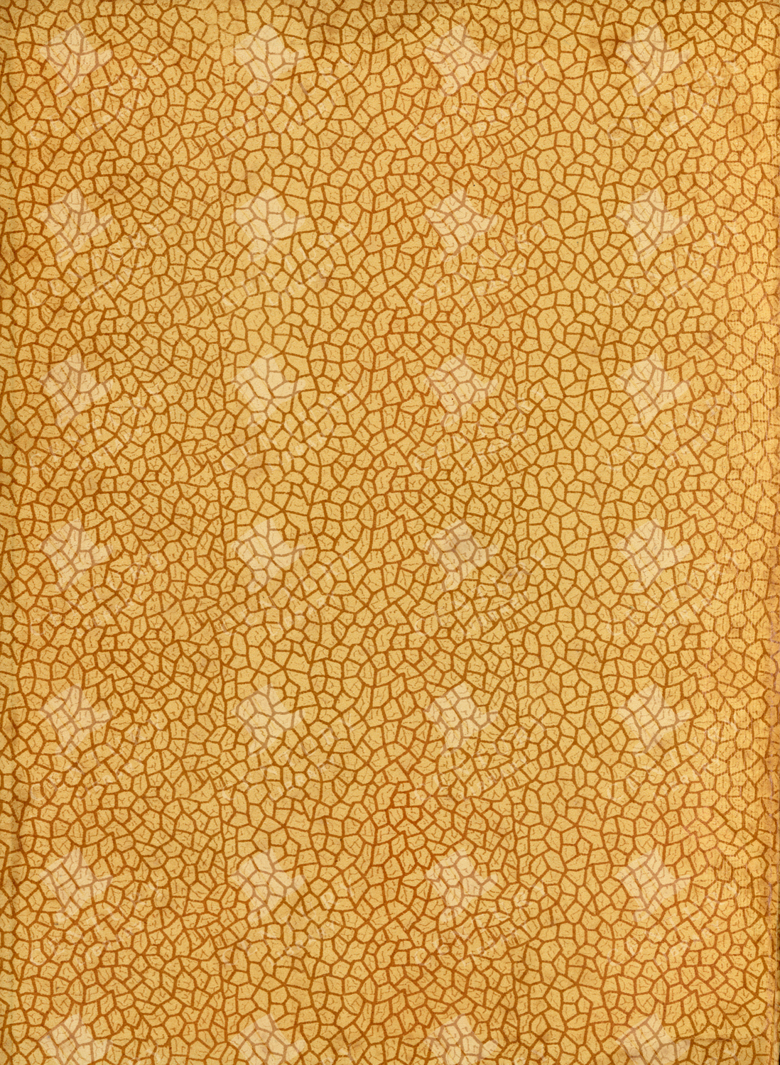 Vintage Honeycomb Pattern Paper Texture
