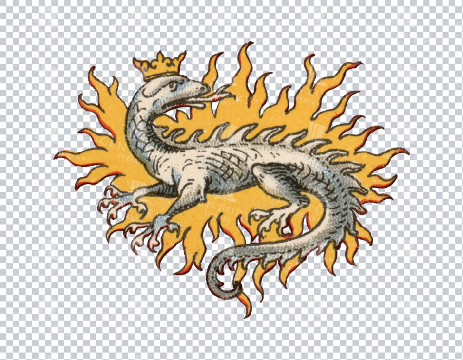 Heraldic Salamander In Flames Vintage Illustration