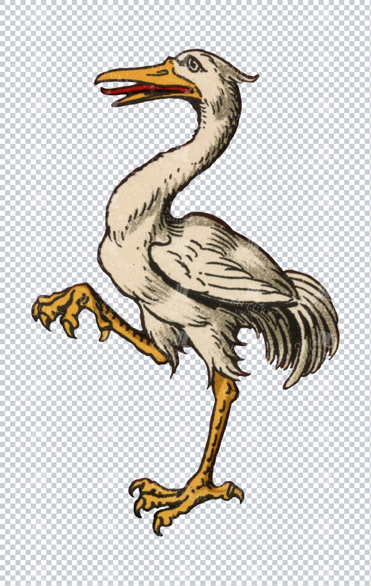 White Heraldic Crane In Reared Pose