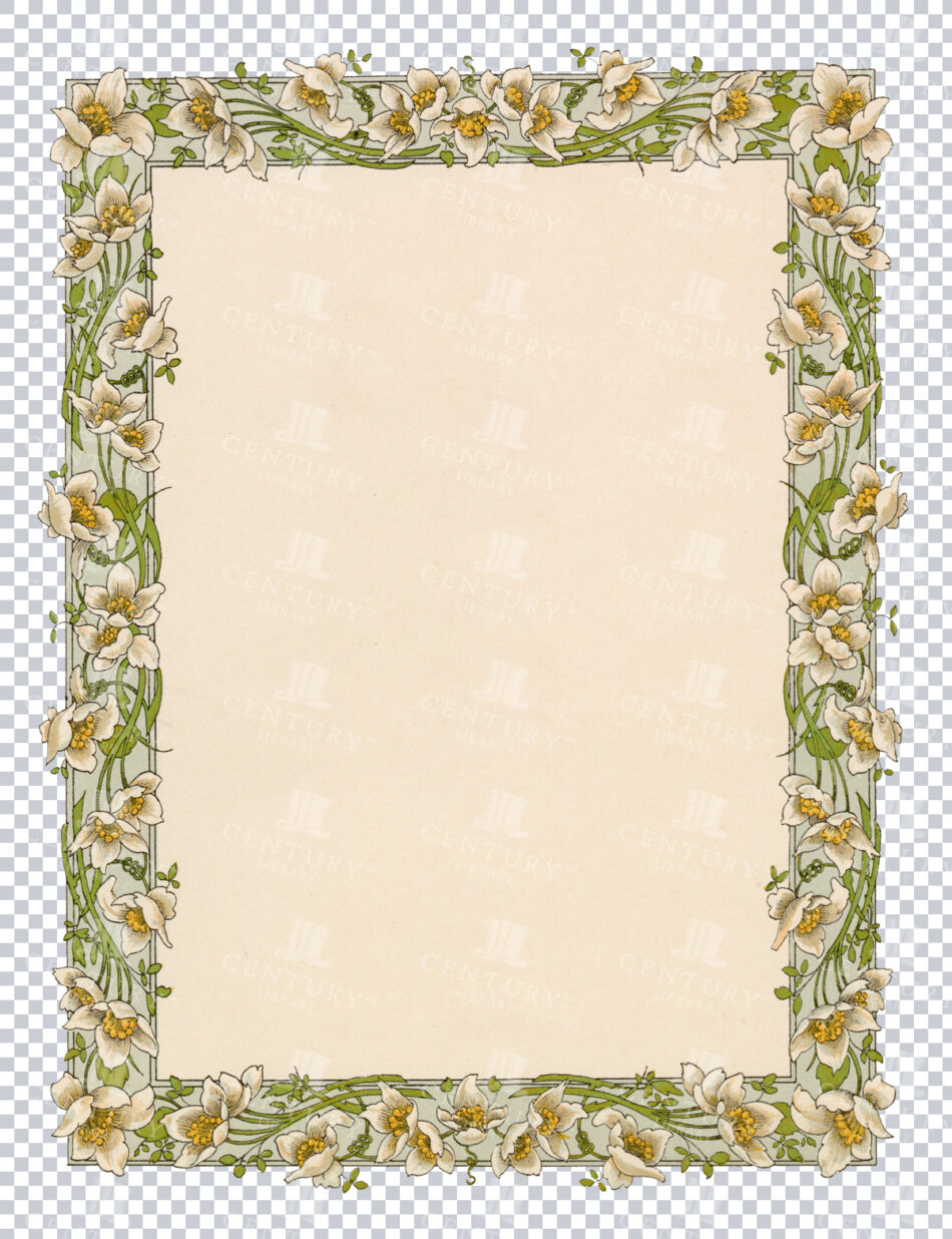 Floral Frame With White And Yellow Flowers Surrounding A Vintage Paper Center