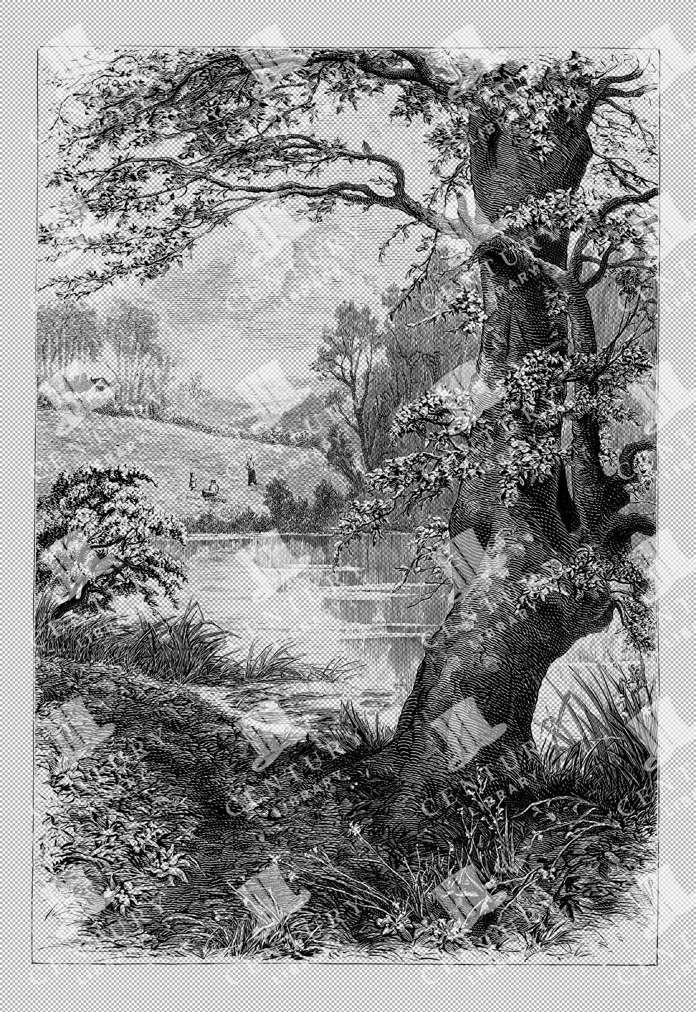 Springtime Landscape With Trees And Lake Detailed Illustration
