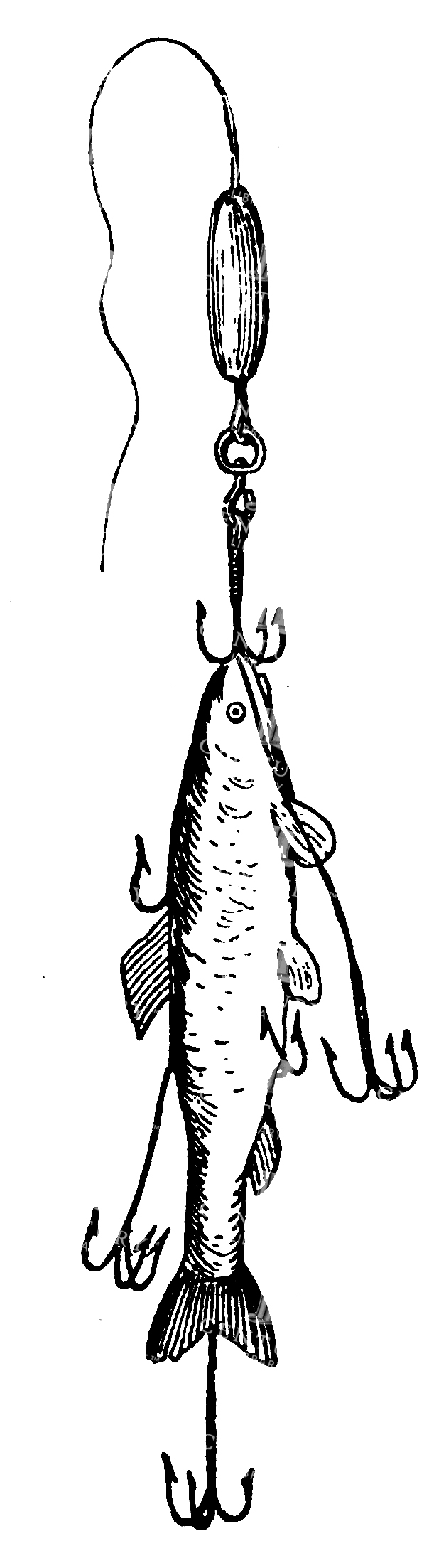 Fishing Line Art Illustration Of Fish Bait On End Of Line With Multiple Hooks