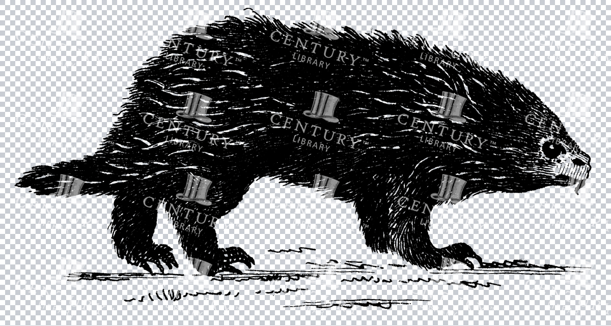 Vintage Illustration Of A Canadian Porcupine