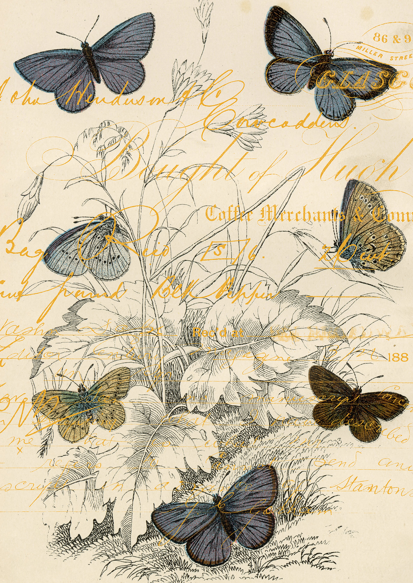 Delicate Butterfly Arrangement with Vintage Handwritten Notes