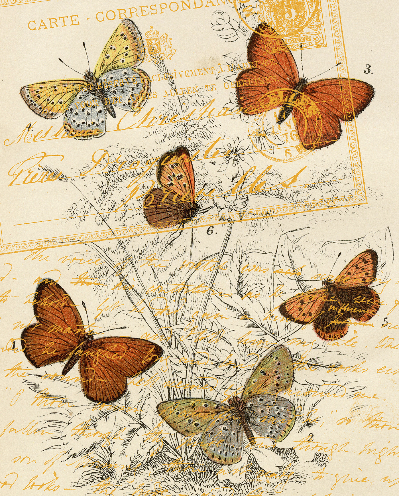 Garden Butterflies With Antique Postcard Script
