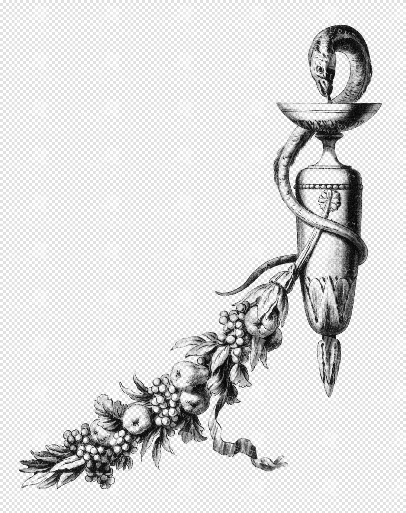 Serpent Chalice Emblem Symbolic Artwork