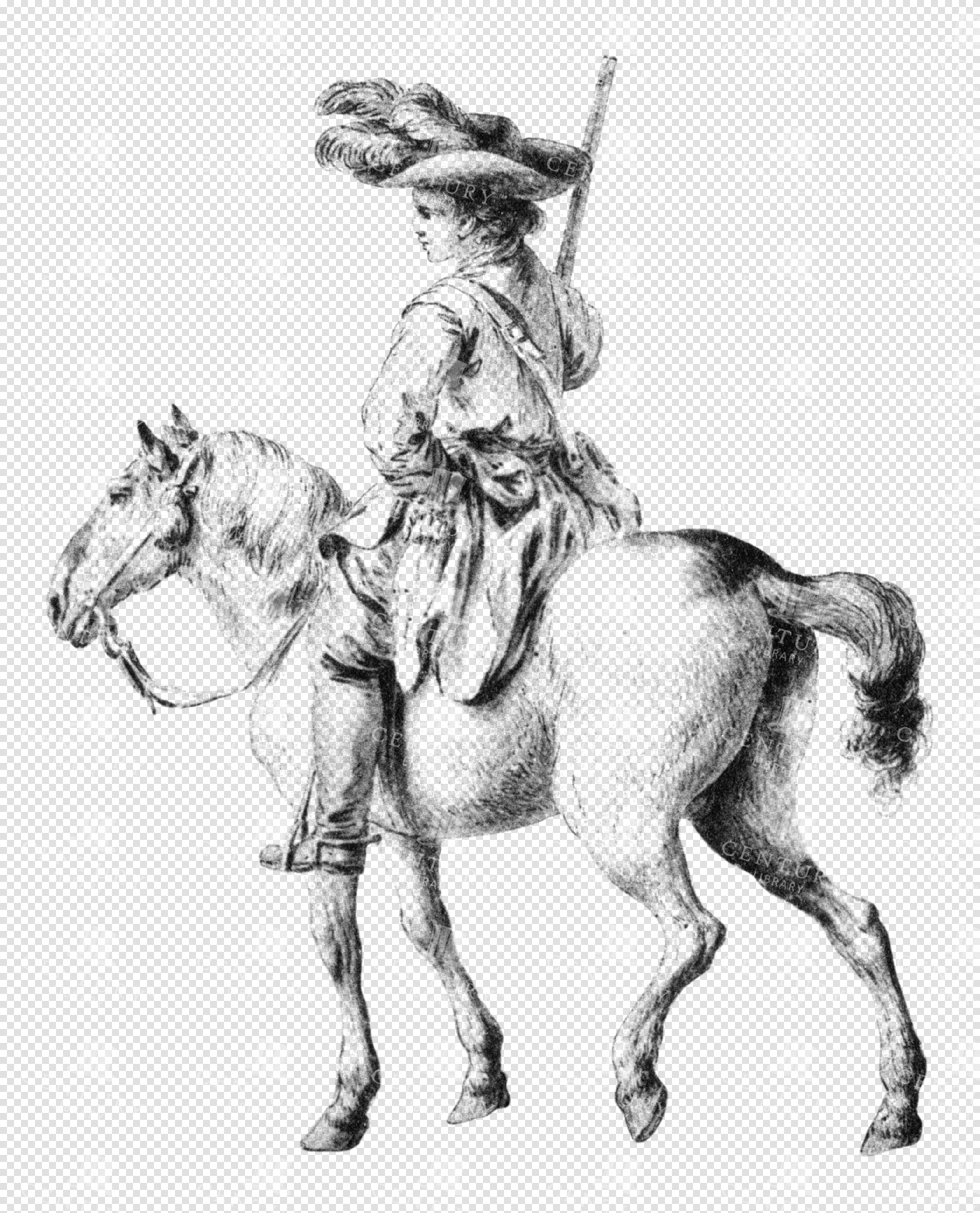 Vintage Cavalier on Horseback Transparent Illustration