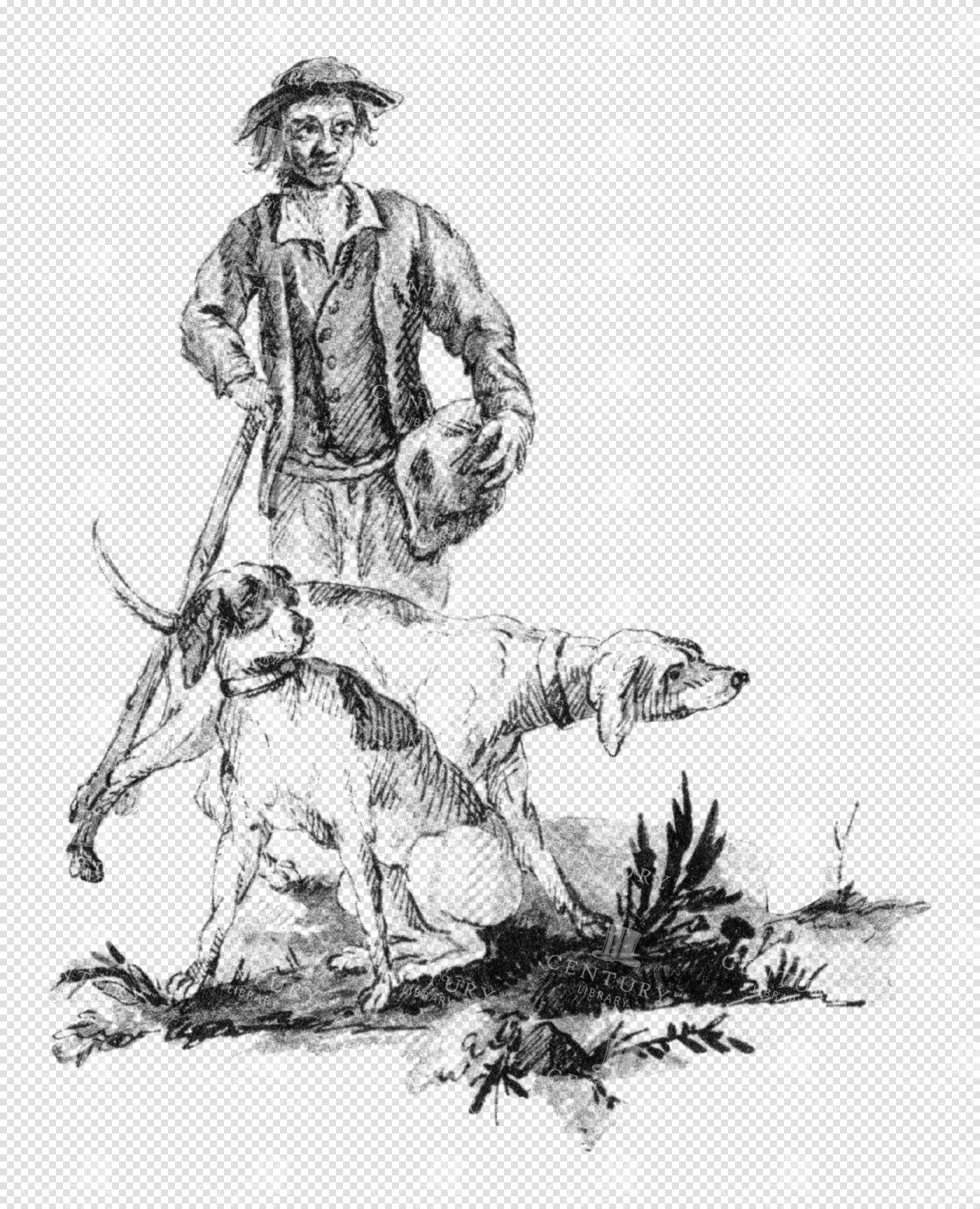 Man with Hunting Dogs Tracking Prey in a Detailed Rural Illustration