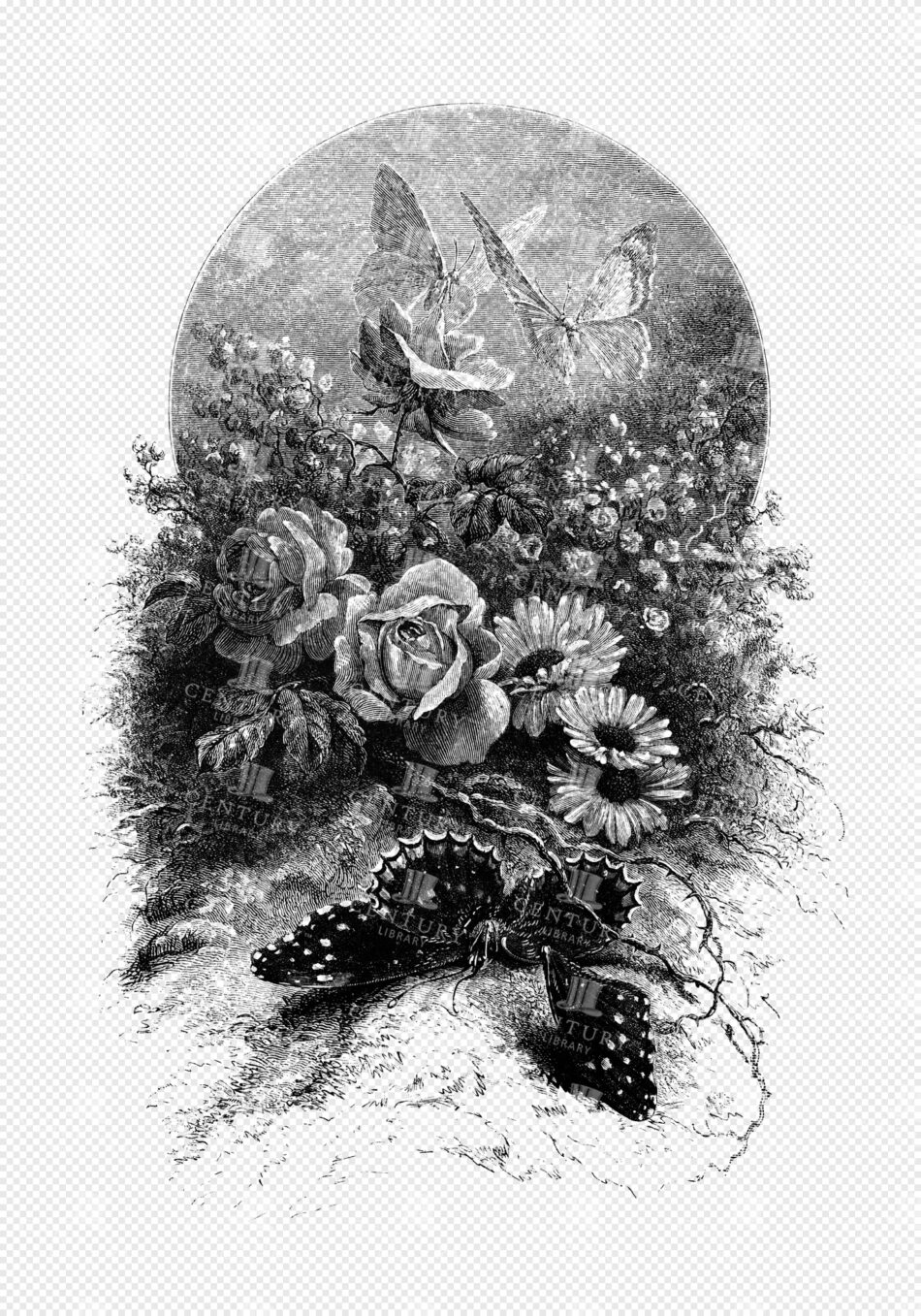 Romantic Engraved Florals with Butterflies and Circular Background Scene