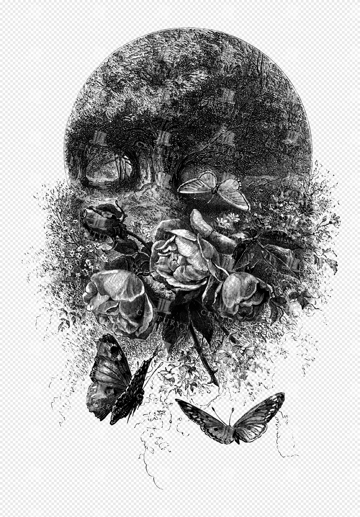 Engraved Romantic Rose Floral Scene with Butterflies and Forest Path