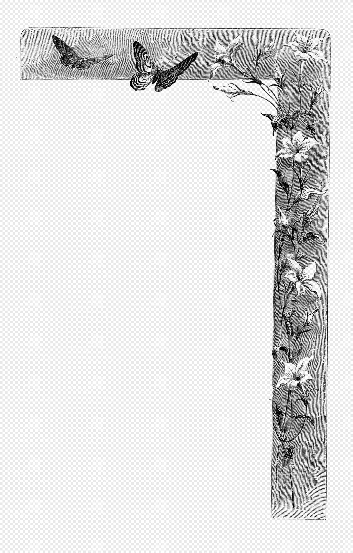 Engraved Floral and Butterfly Corner Border with Blooming Vines and Insects
