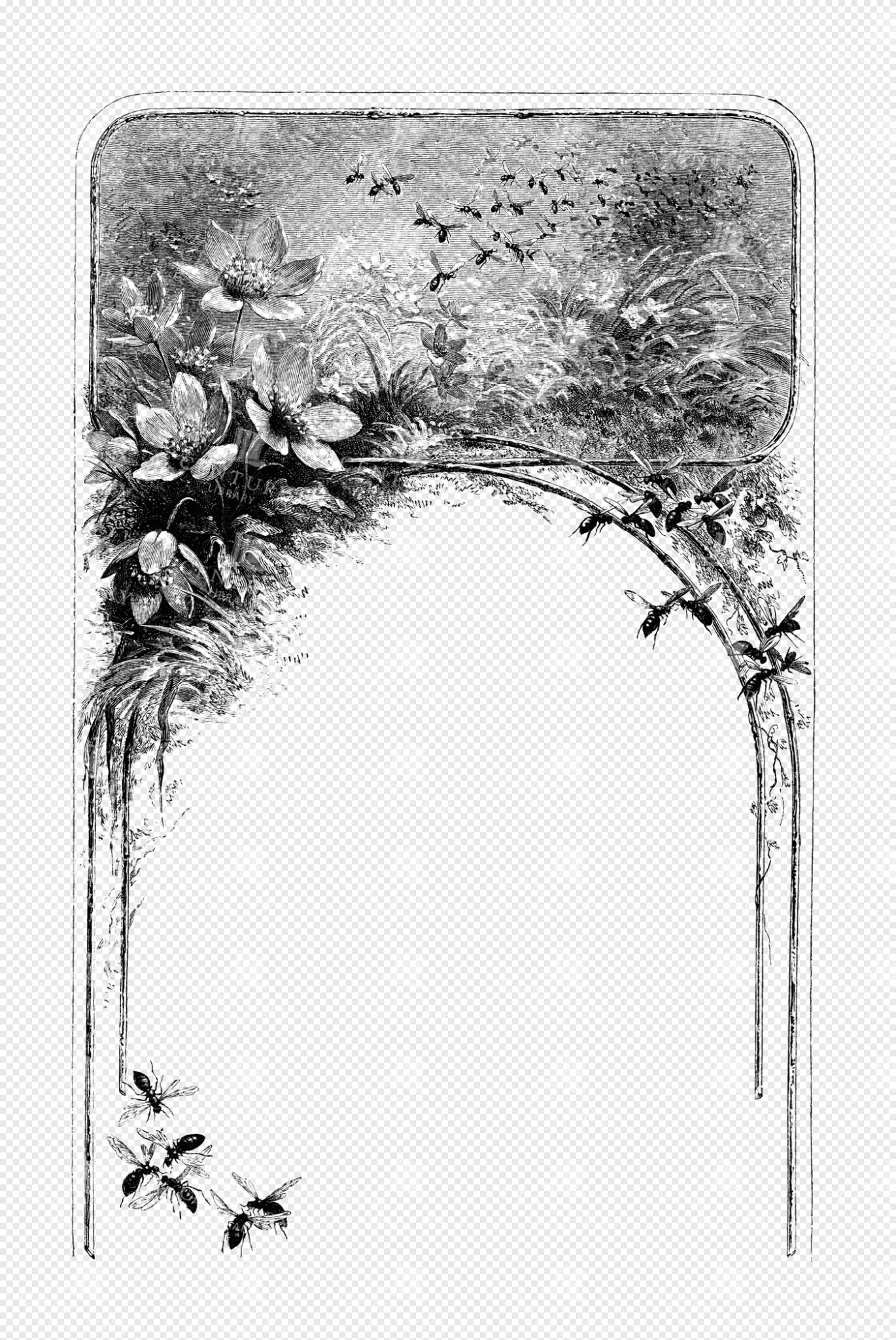 Romantic Botanical Insect Frame with Blooming Flowers and Nature-Inspired Border