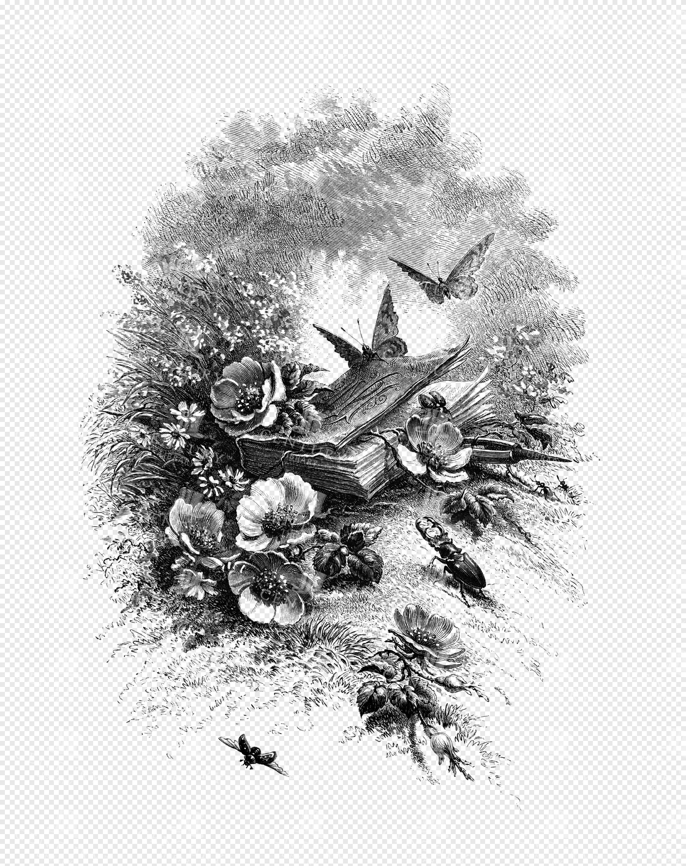 Romantic Botanical Scene with Insects