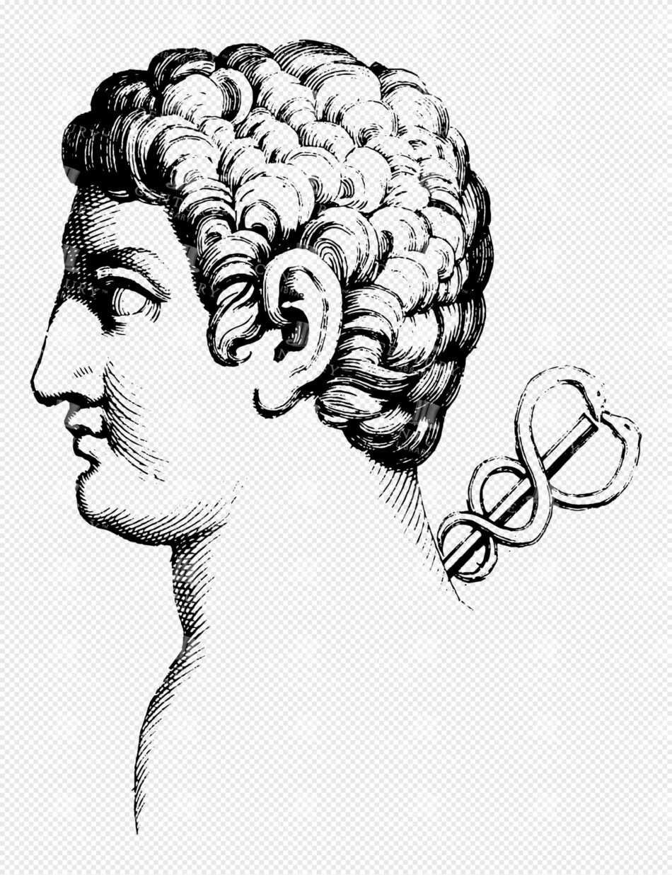Greek God Hermes in Profile with Caduceus