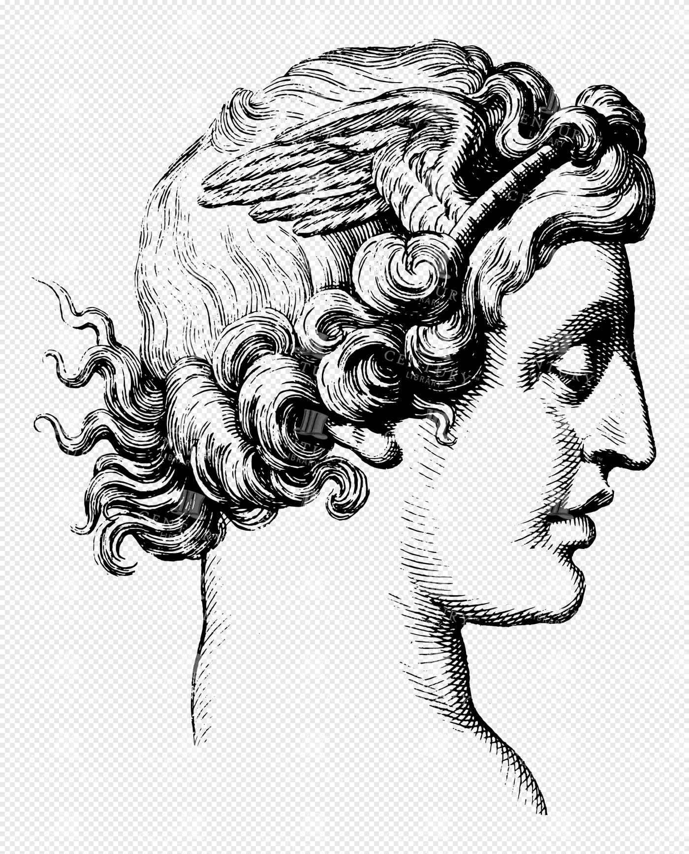 Winged God Hermes in Classical Greek Line Art Profile with Flowing Curly Hair