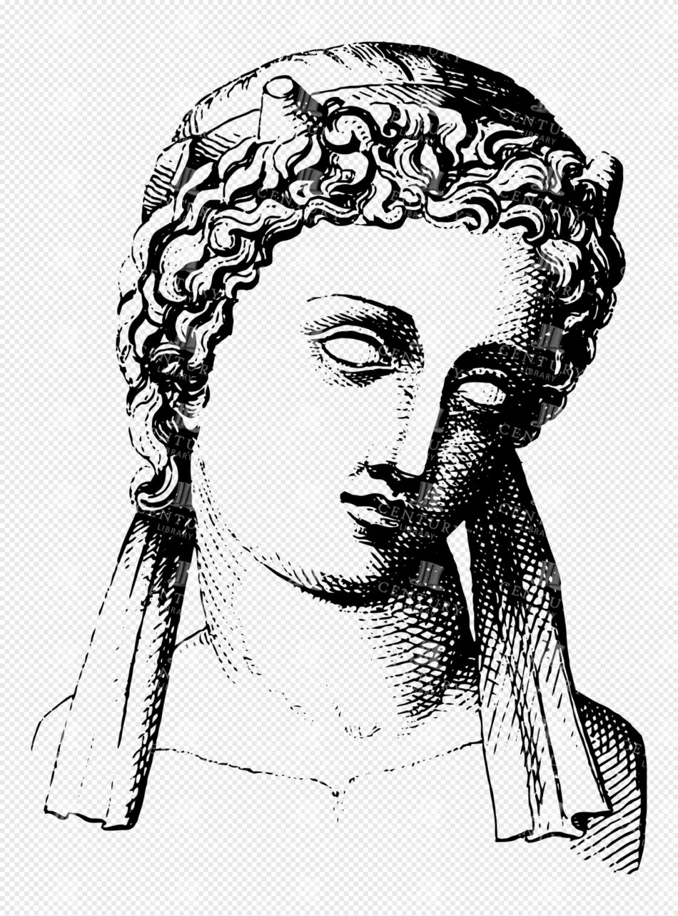 Greek Goddess Bust With Curled Hair - Classical Sculpture Engraving