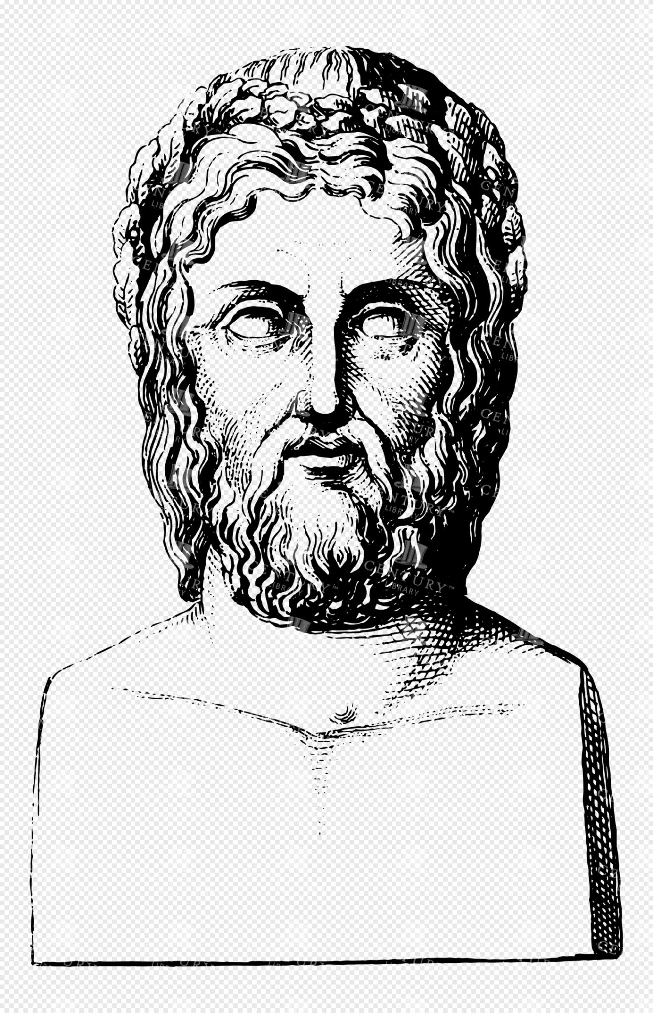 Zeus Bust in Greek Mythology with Flowing Beard and Laurel Wreath in Classical Line Art