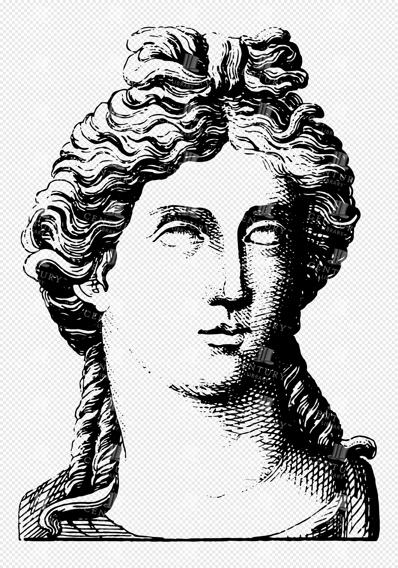 Bust of Apollo in Greek Mythology with Flowing Hair and Idealized Features in Classical Line Art