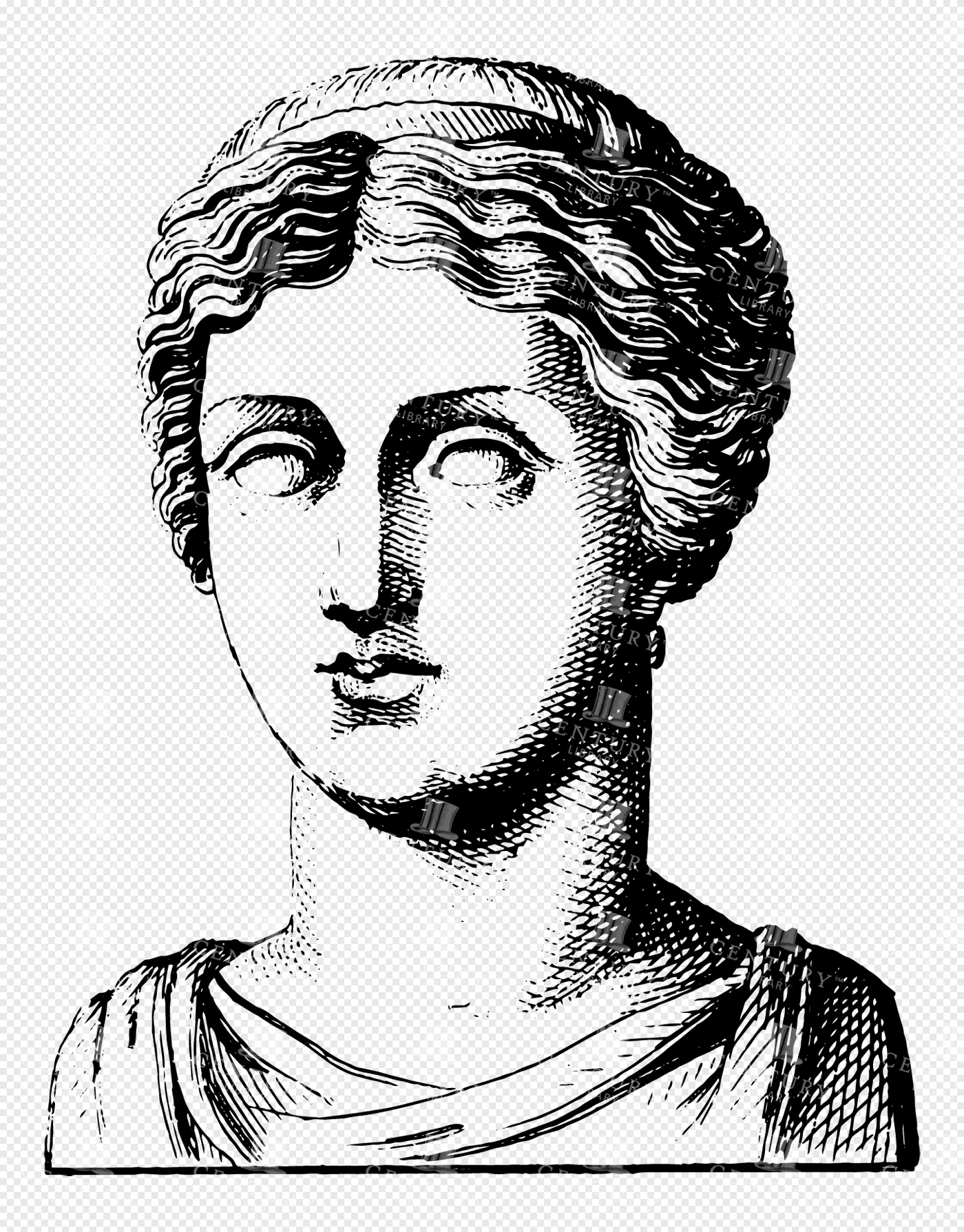 Bust of Aphrodite in Greek Mythology with Wavy Hair and Serene Expression in Classic Line Art