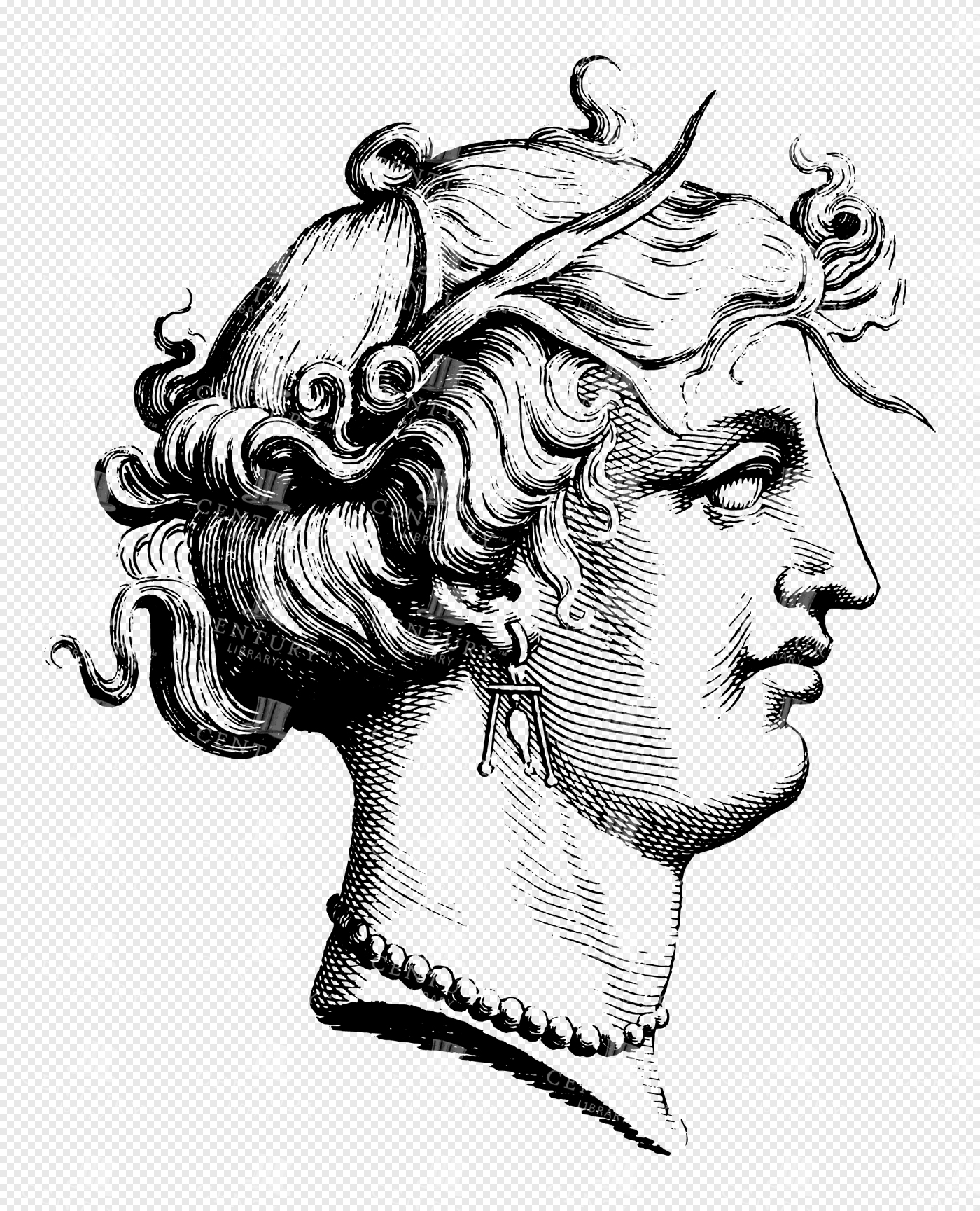 Roman Goddess Venus with Flowing Curled Hair