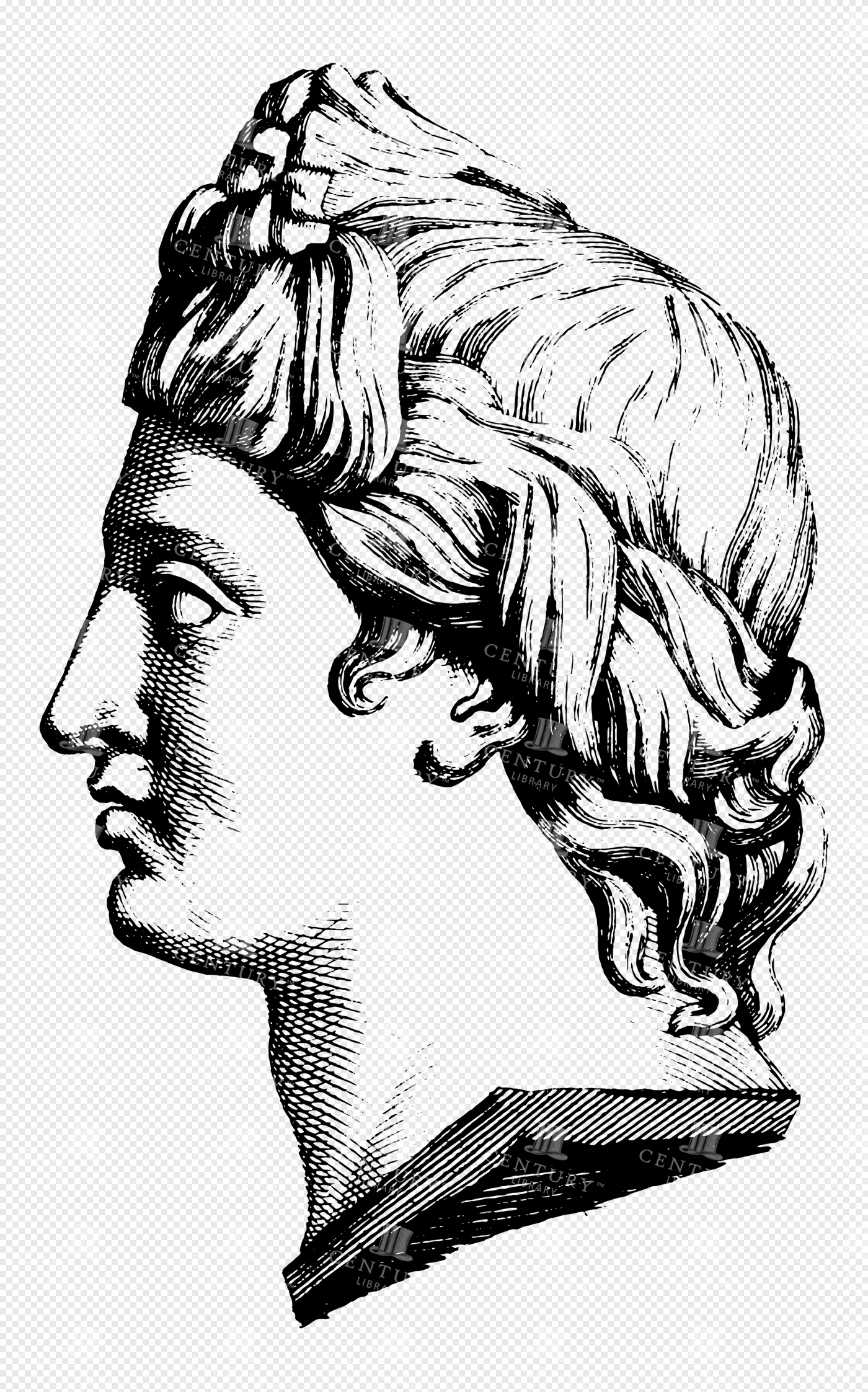 Greek Goddess Artemis in Profile with Elaborate Braided Hair in Classical Vintage Line Art