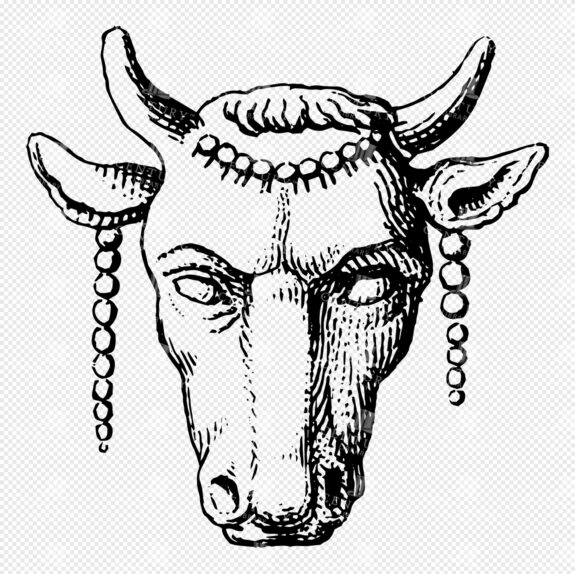 Mythological Line Art Depicting Ancient Greco-Roman Minotaur Head with Ornamental Details