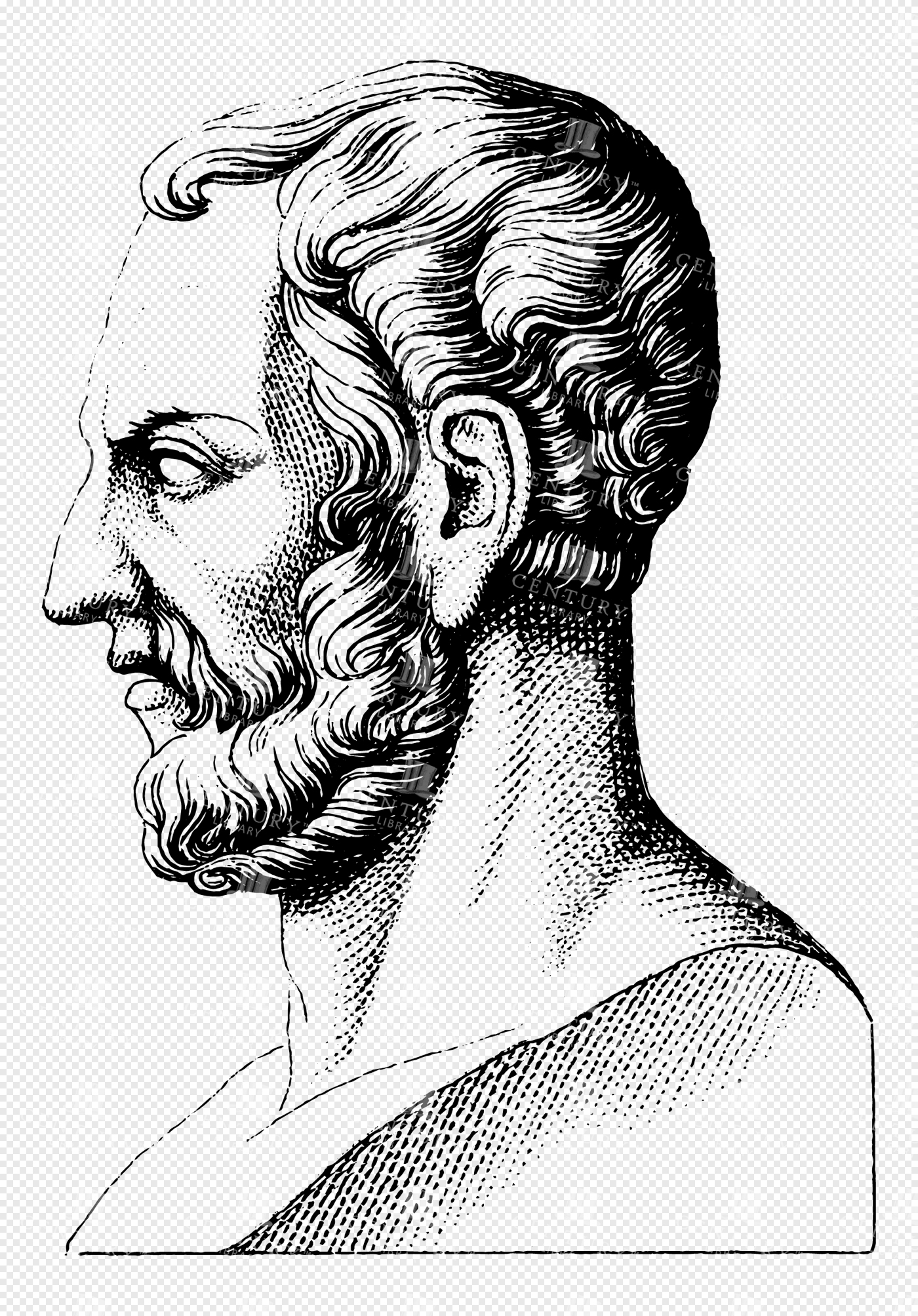Detailed Profile Lineart of Thucydides with Classical Greek Features and Curly Hair