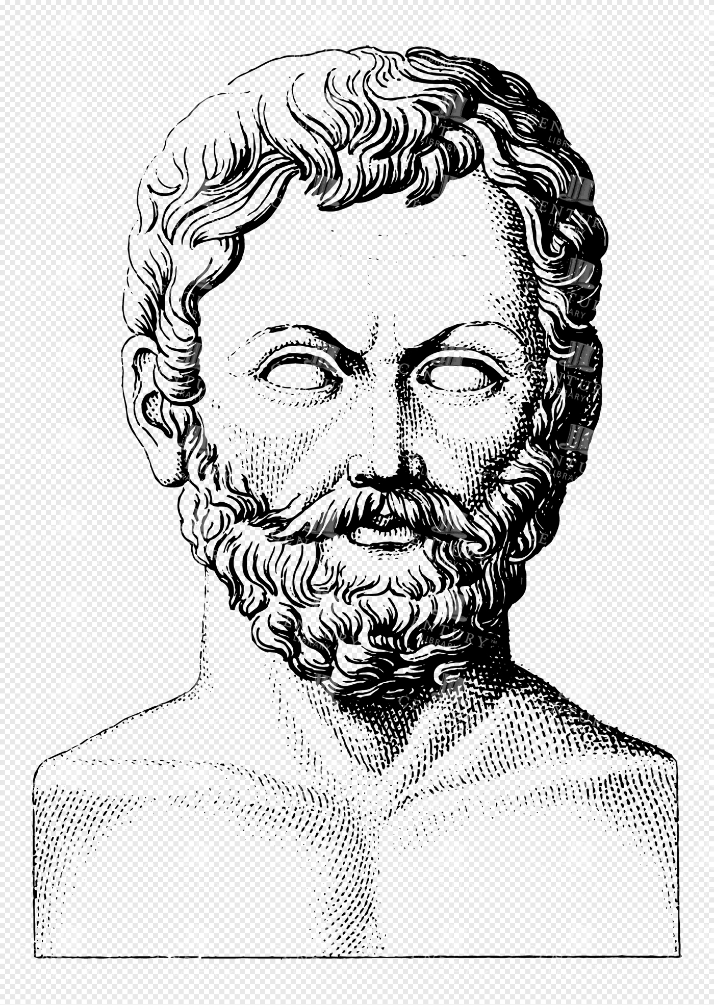 Classical Greek Lineart Bust of Thales with Detailed Facial Features and Curly Hair