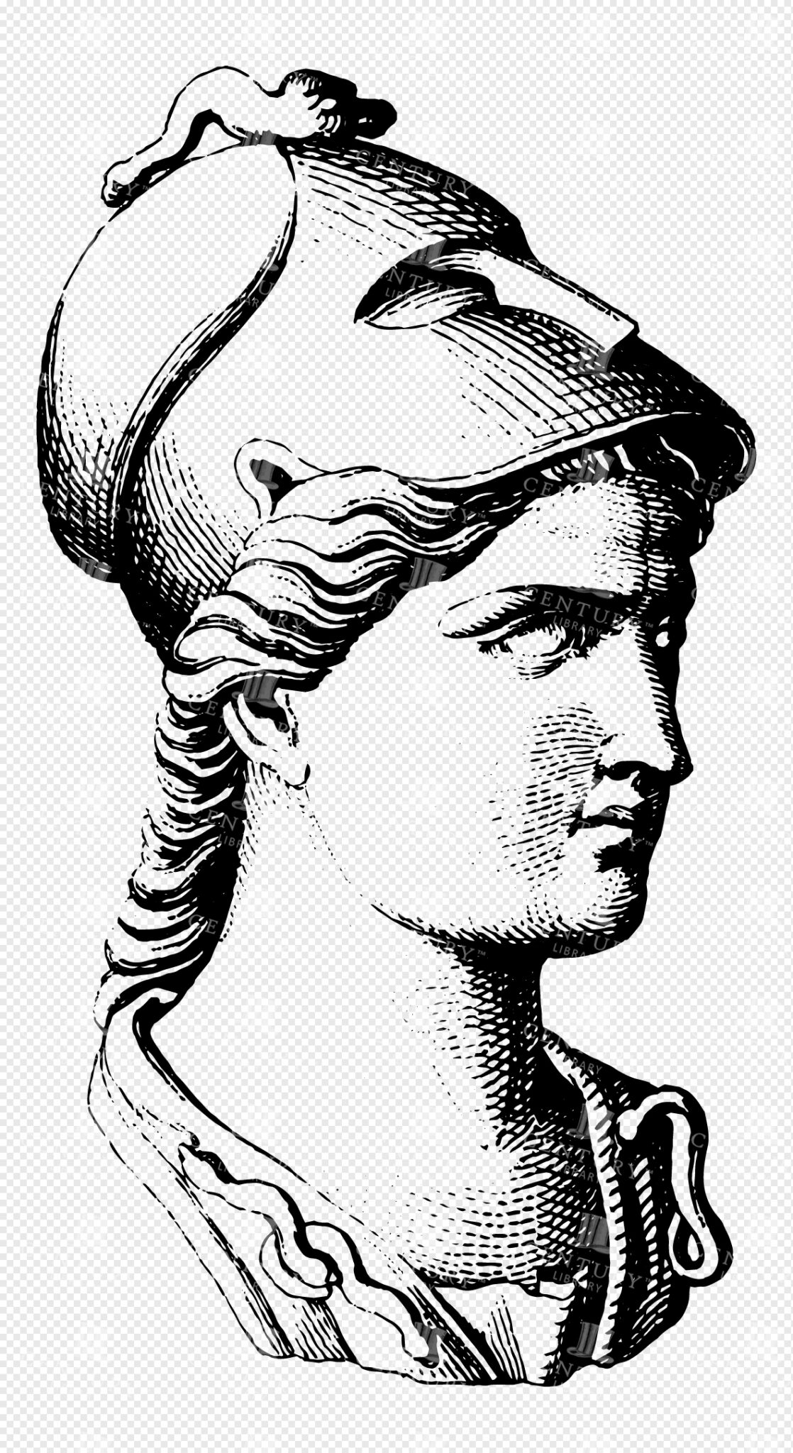 Athena Bust with Corinthian Helmet and Flowing Hair in Detailed Lineart