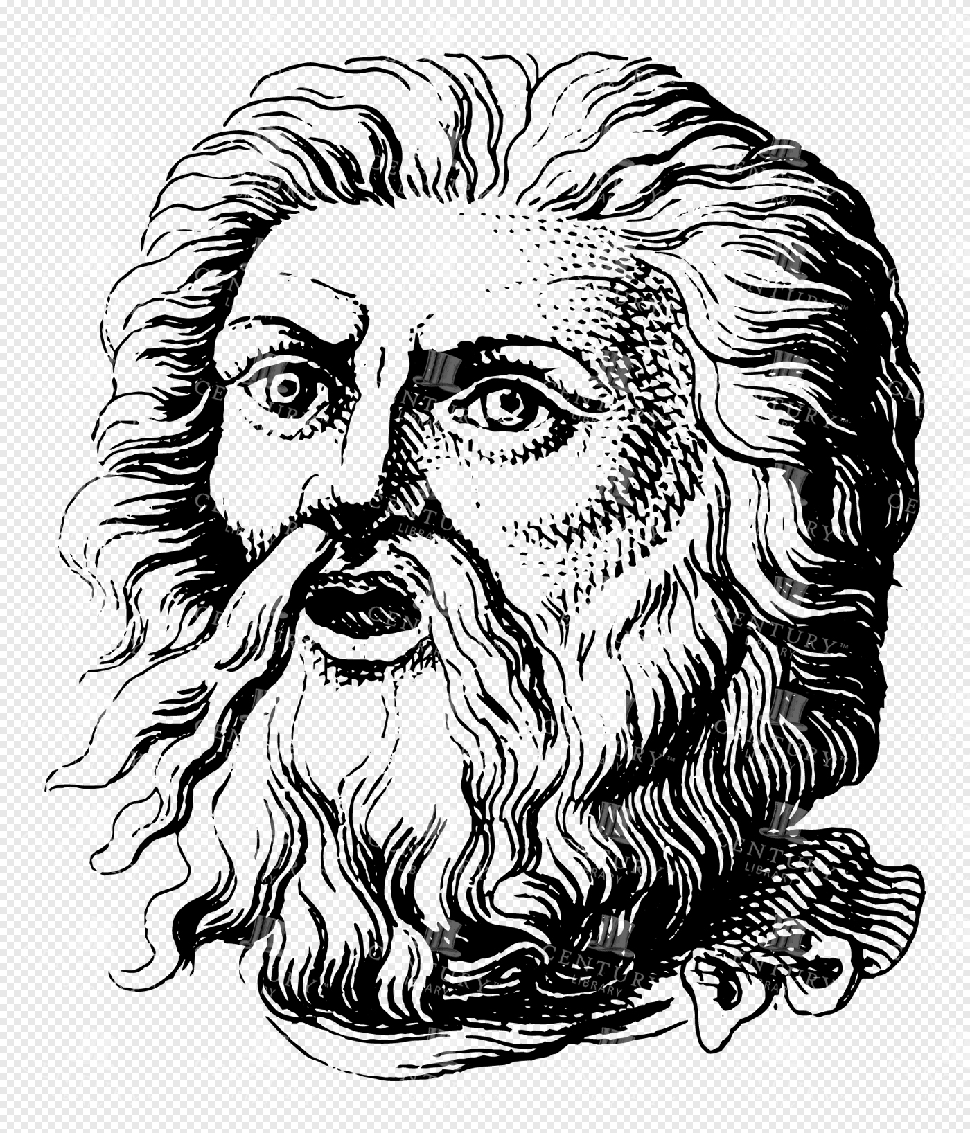 Mythological Zeus Portrait with Flowing Beard and Detailed Classical Features