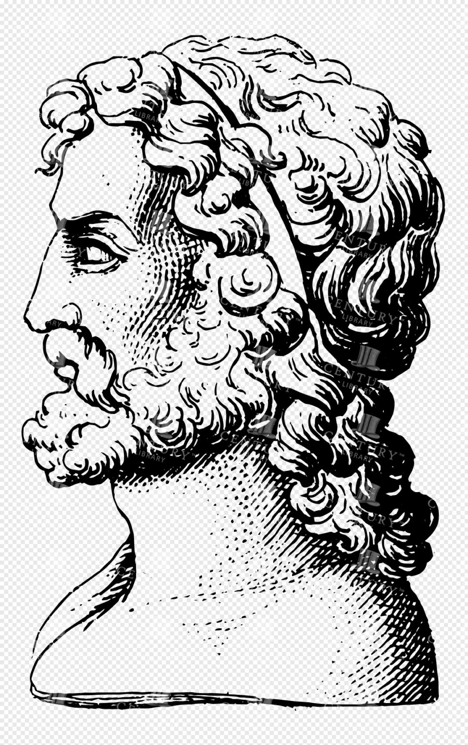 Greek God Zeus with Flowing Curly Hair and Beard in Side Profile