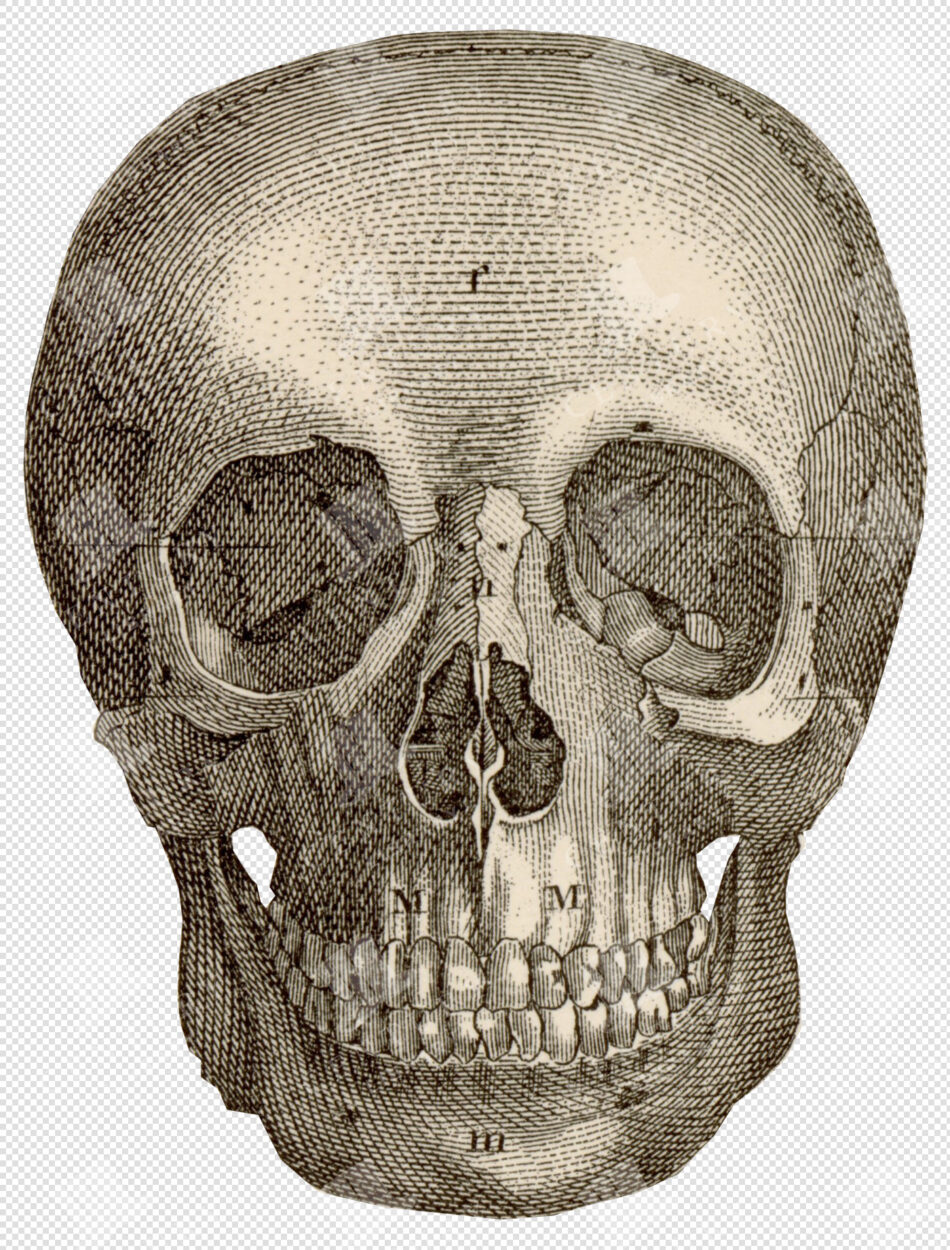 memento mori - Century Library