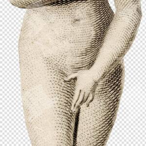 Venus Pudica Classical Sculpture – Engraved Female Figure Study