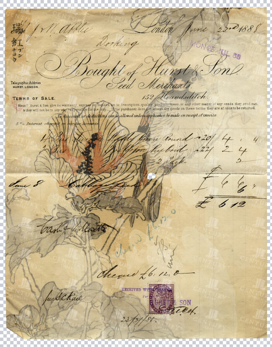 Victorian Merchant Receipt with Handwriting and Botanical Bird Illustration Overlay