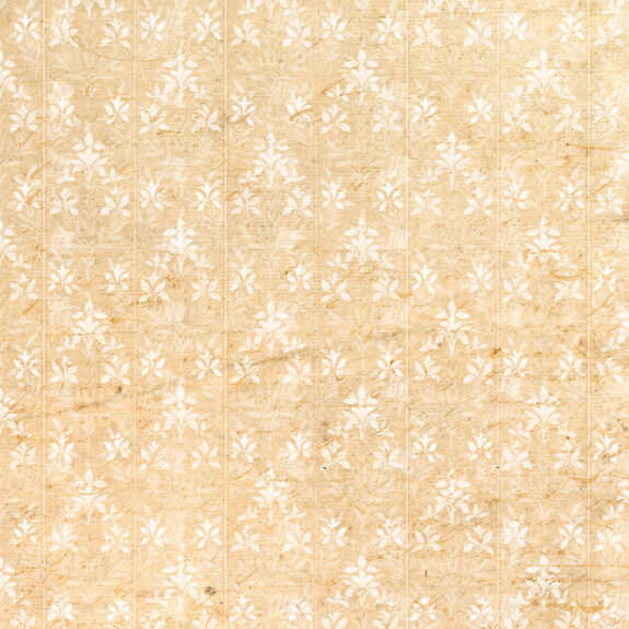 Grunge Floral Wallpaper Texture with White Damask Pattern on Aged Paper