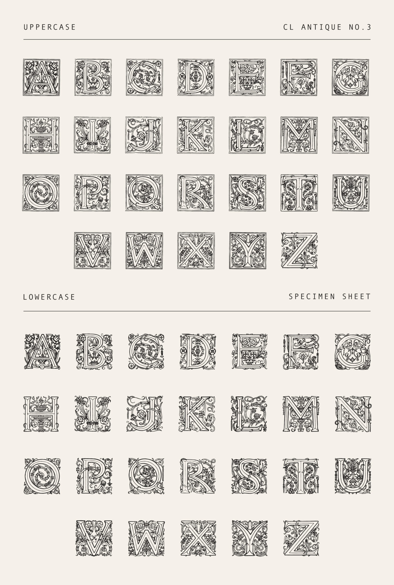 Highly Ornate Vintage Drop Cap Font – 1800s Engraved Lettering with Decorative Flourishes (CL Antique No.3)