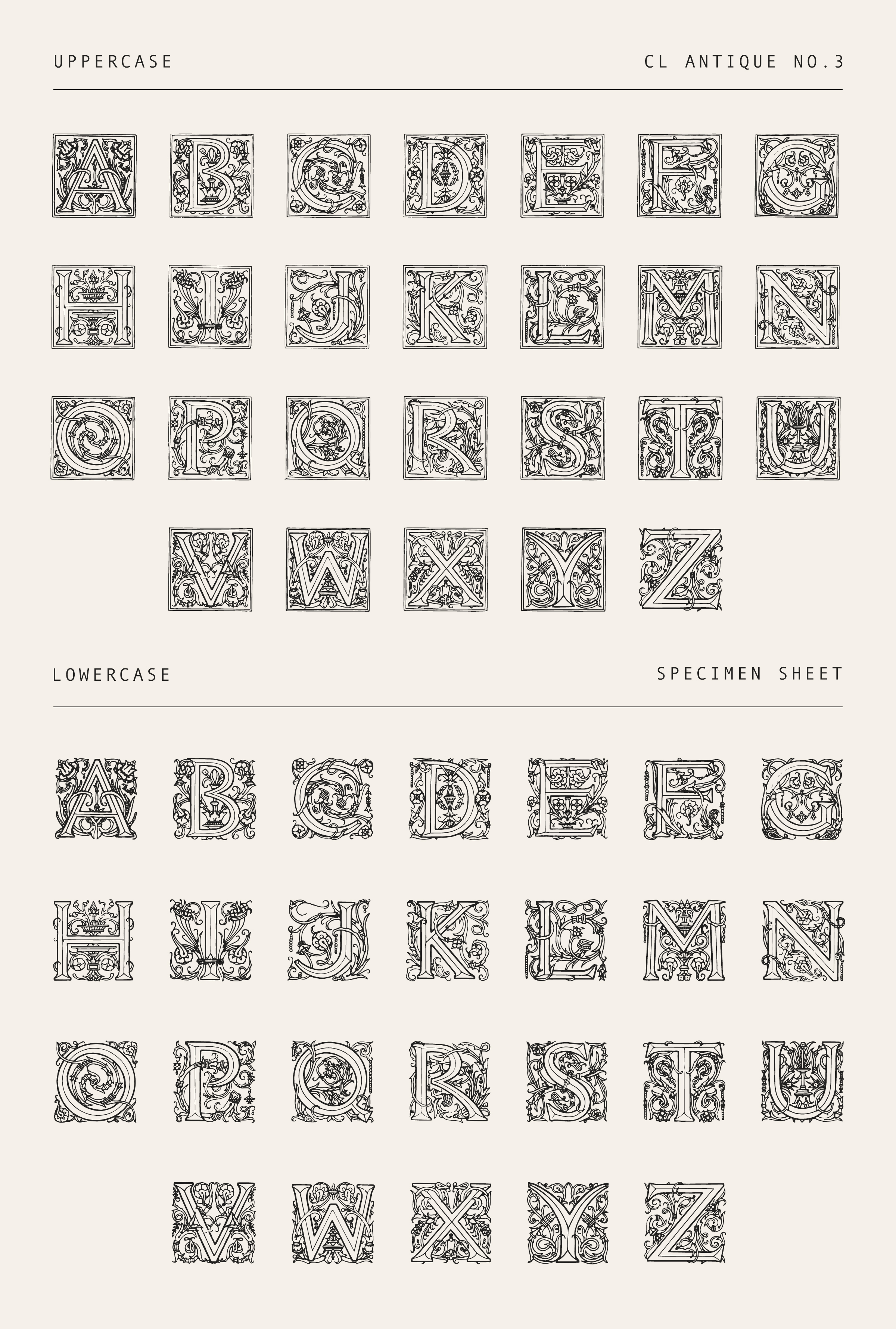 Highly Ornate Vintage Drop Cap Font – 1800s Engraved Lettering with Decorative Flourishes (CL Antique No.3)