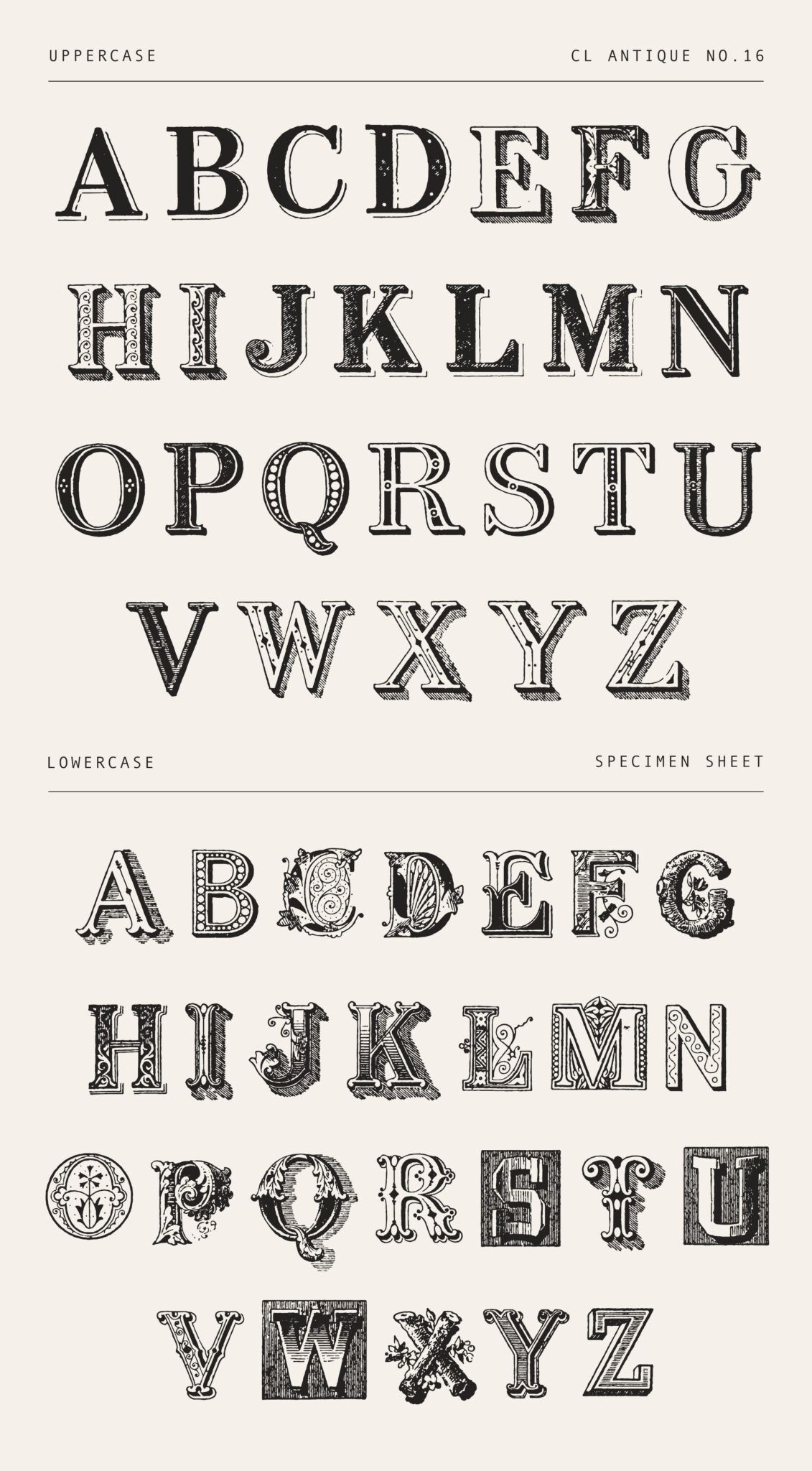 Bold Vintage Poster Font – Heavily Embellished Decorative Display Letters (CL Antique No.16)