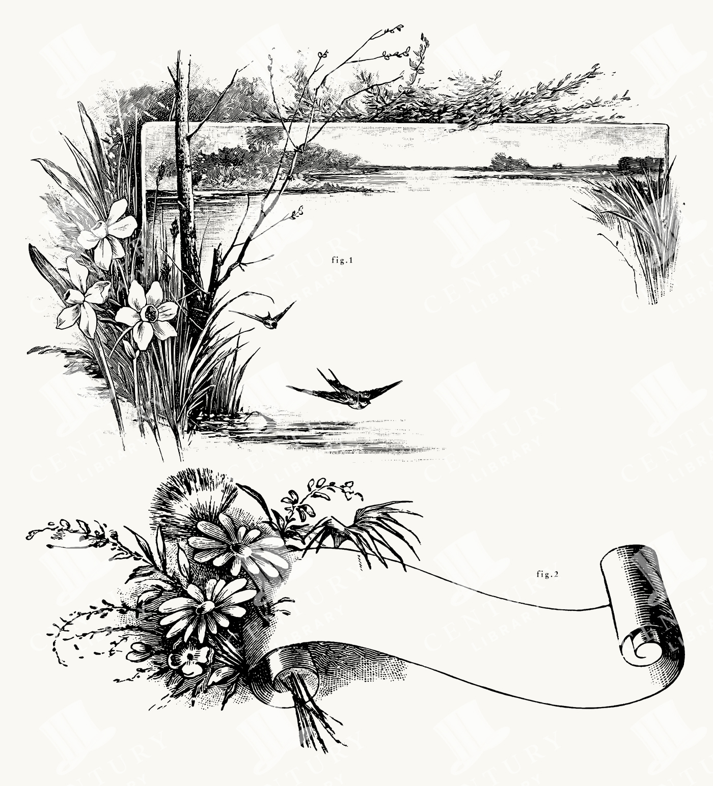 Nature-Themed Botanical and Landscape Frames with Birds and Flowers
