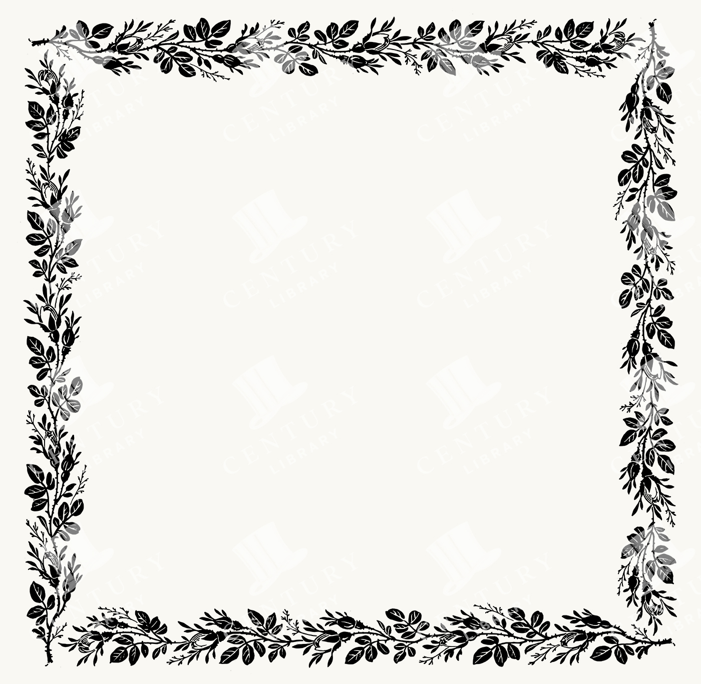 Botanical Square Frame with Leafy Vine and Floral Sprig Borders