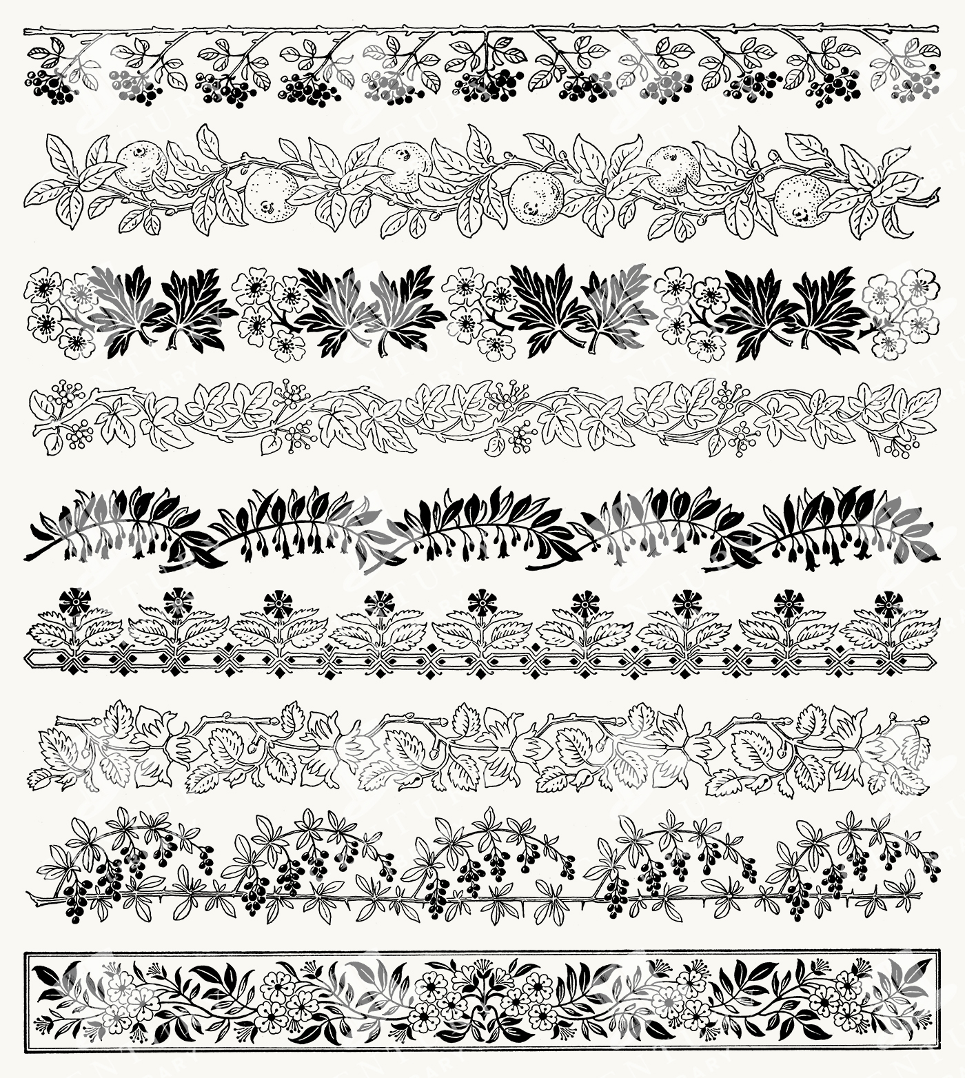 Botanical Divider Set with Fruit Branches
