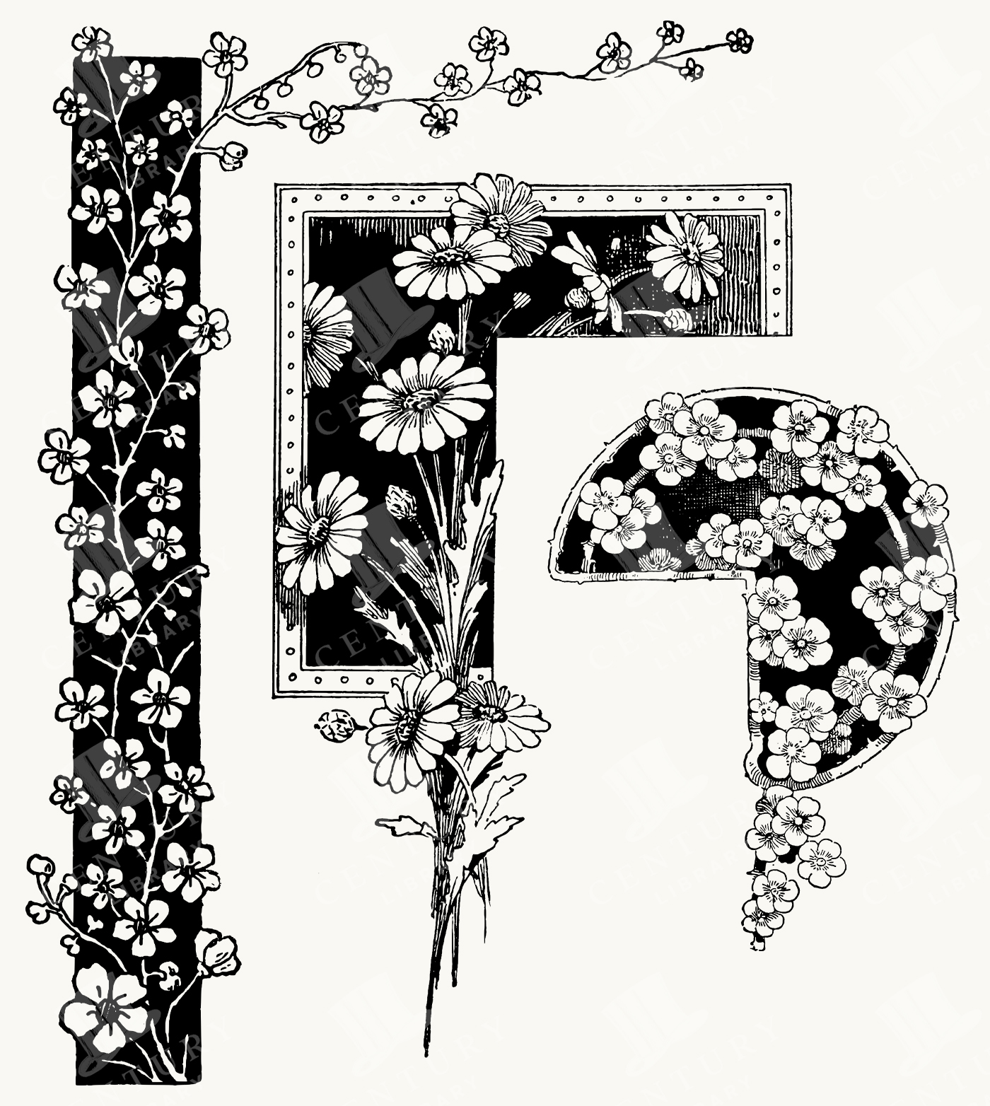 Botanical Frame Elements with Daisies and Flowering Branches