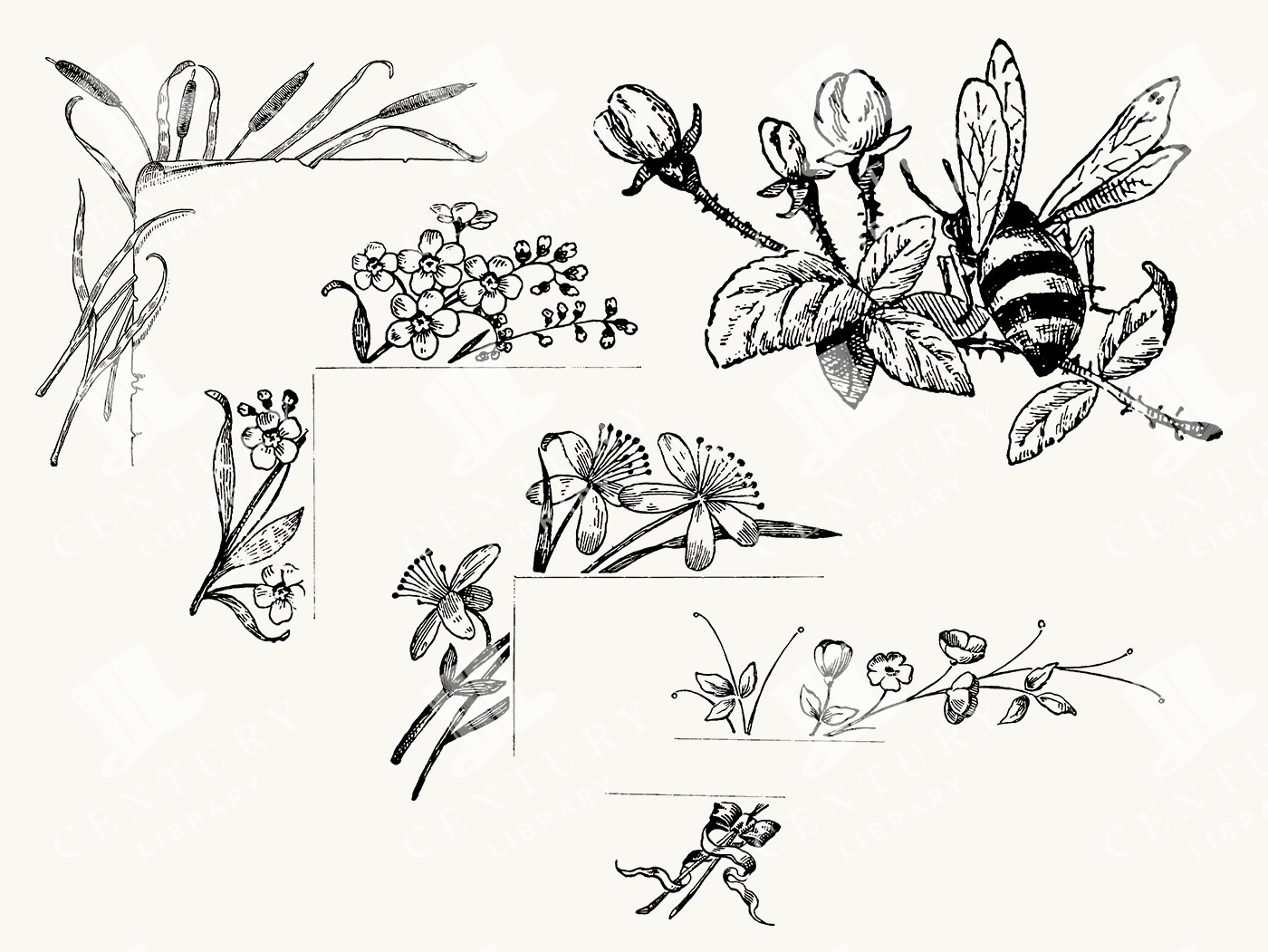 Botanical Illustration Set with Bees