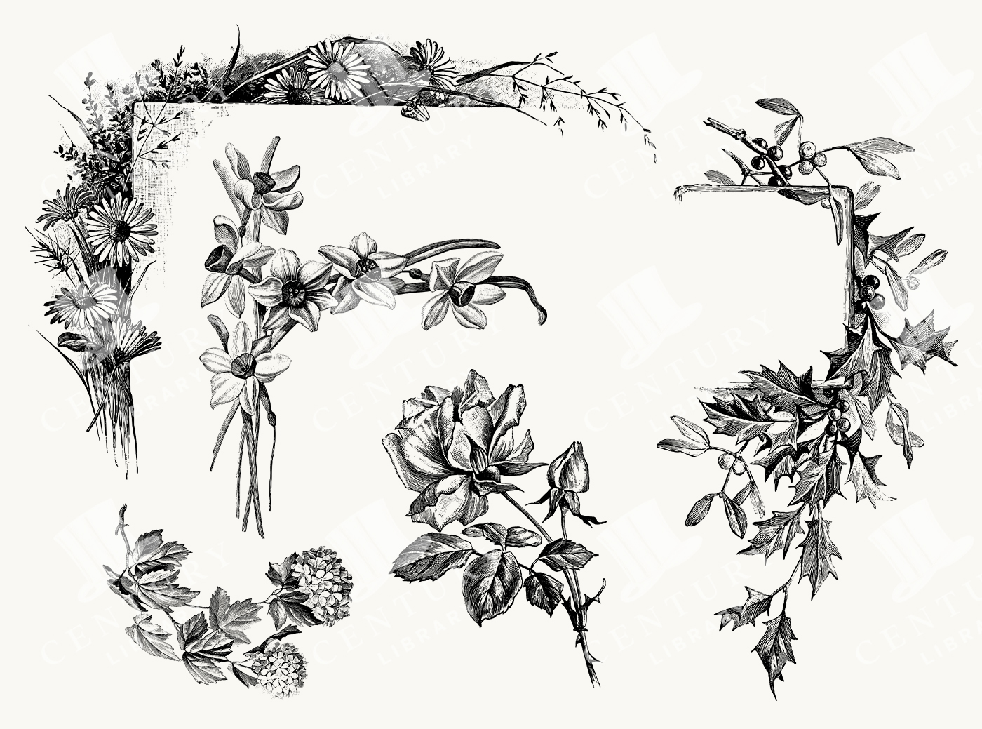 Floral Botanical Corners with Roses