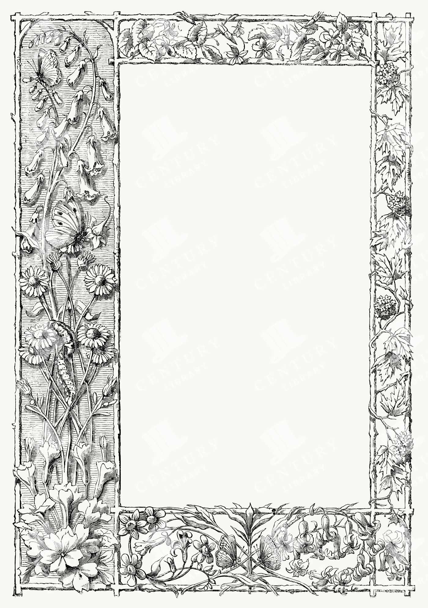 Botanical Rectangle Frame with Butterflies