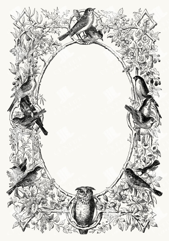 Oval Botanical Frame with Birds