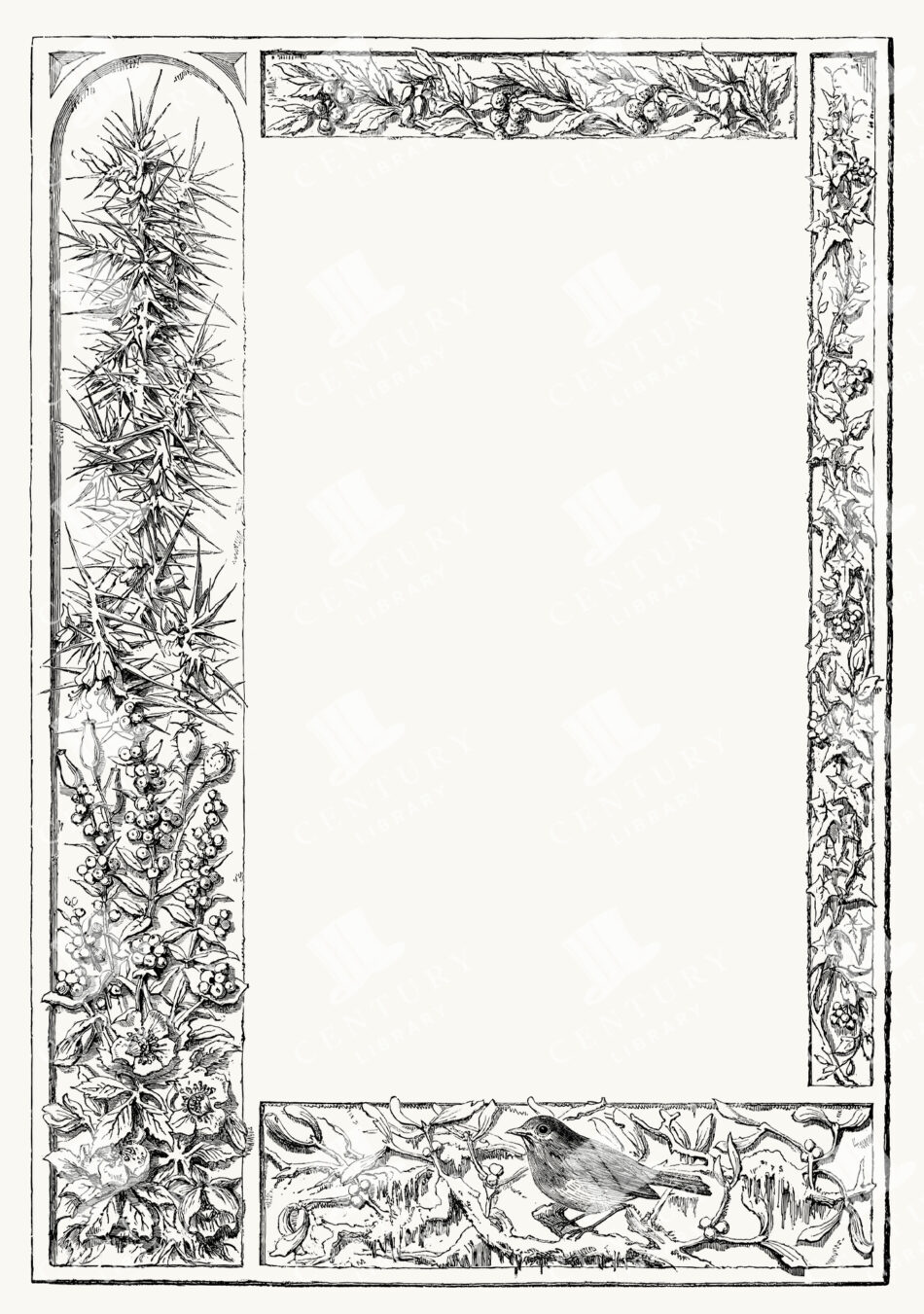 Botanical Border With Leafy Vines, Berries, Blossoms, And A Perched Songbird - Ornate Line-art Frame With Blank Center