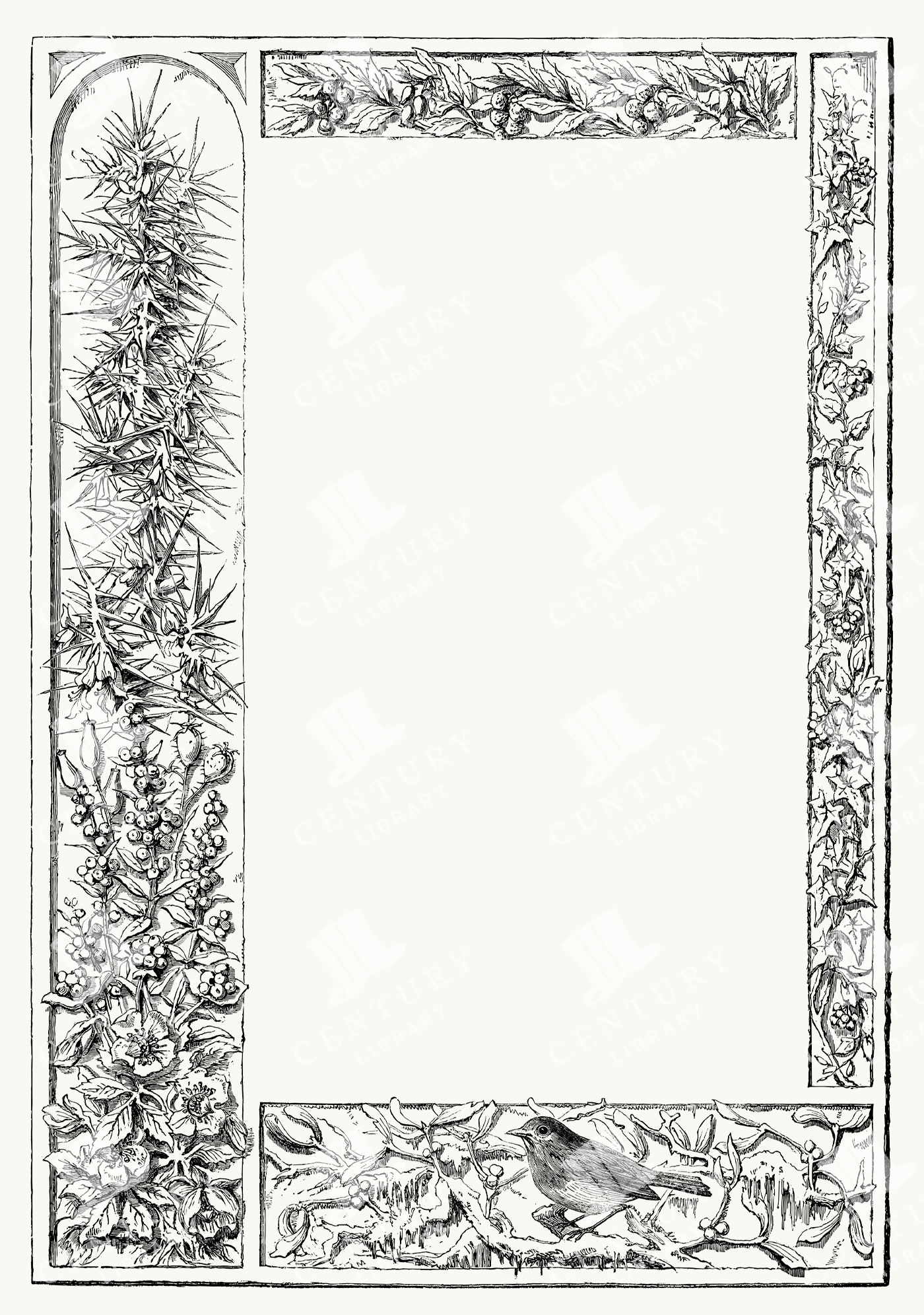 Botanical Rectangle Frame with Thistles
